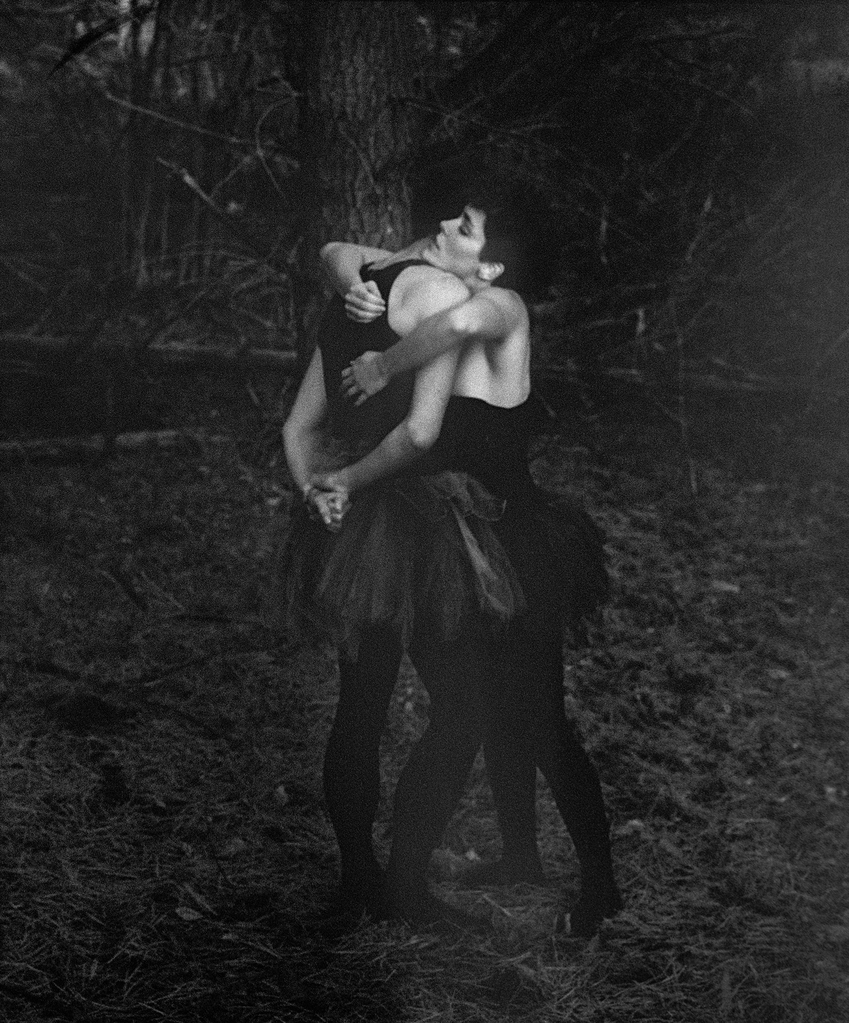 Plate 96_Plates_Trager-copy.gif