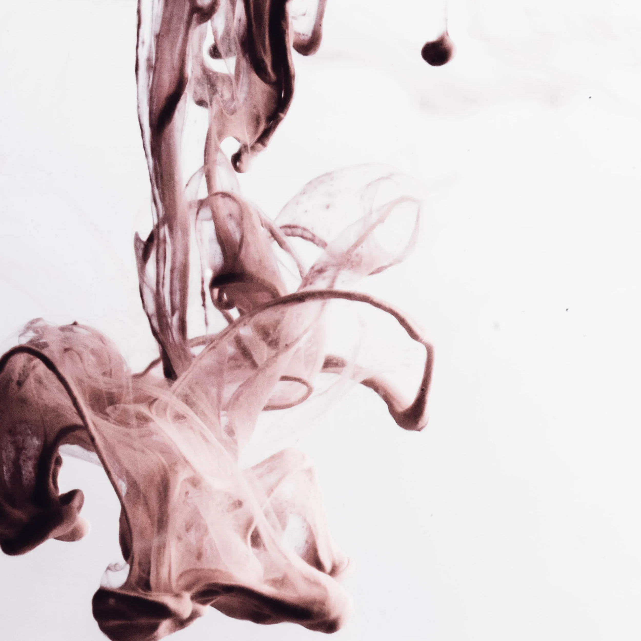 chuttersnap-297554-unsplash sq.jpg