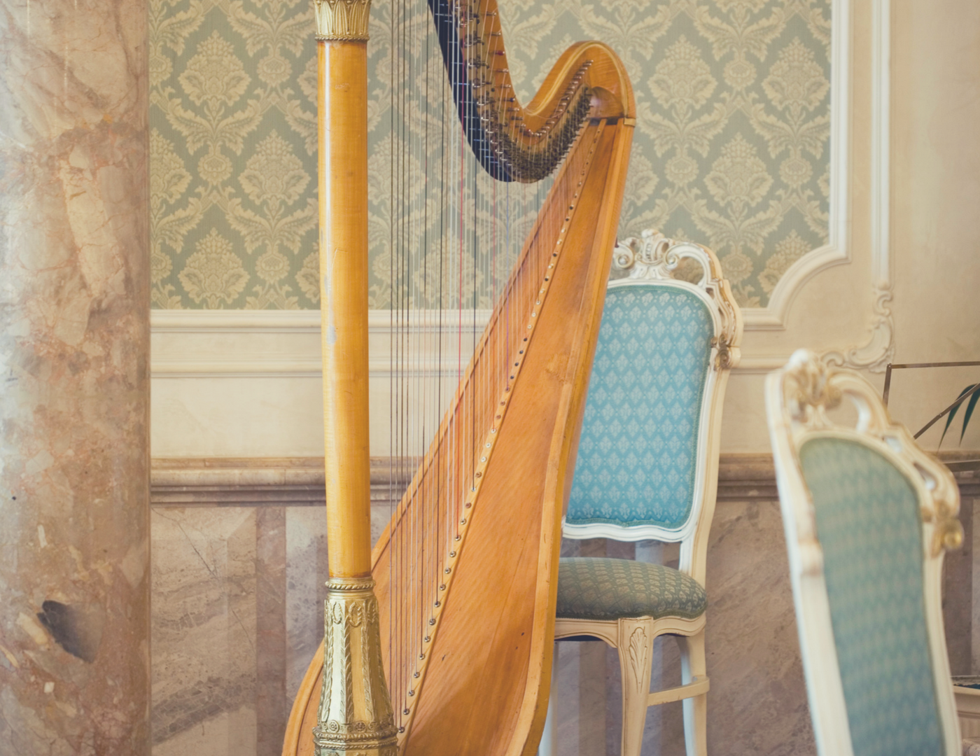 Judy's Musical Background as the Leading Harpist in NOLA — Harp Music