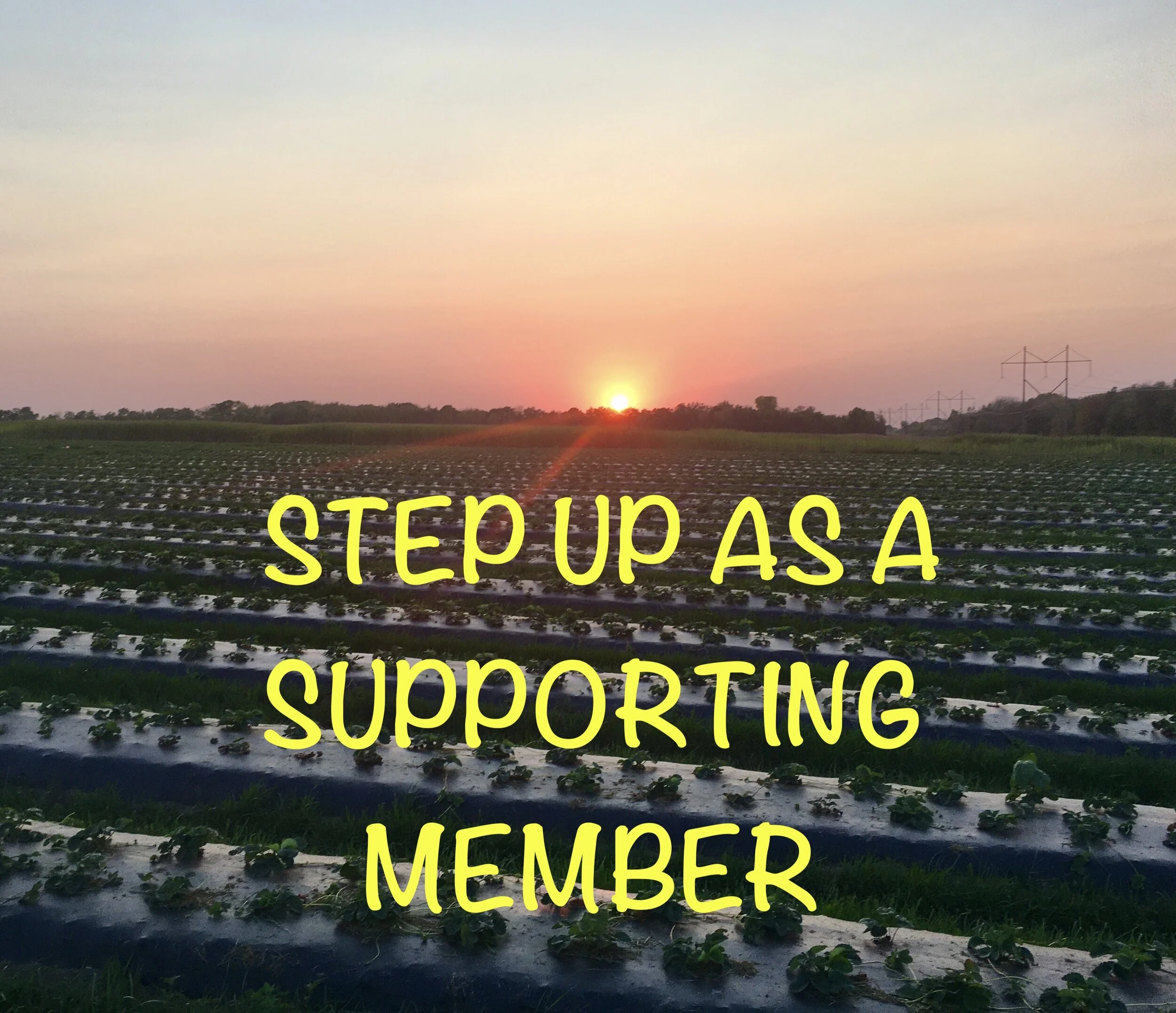 MEMBERSHIP_SUPPORTING.jpeg