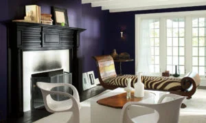 Benjamin Moore Color of the Year Shadow