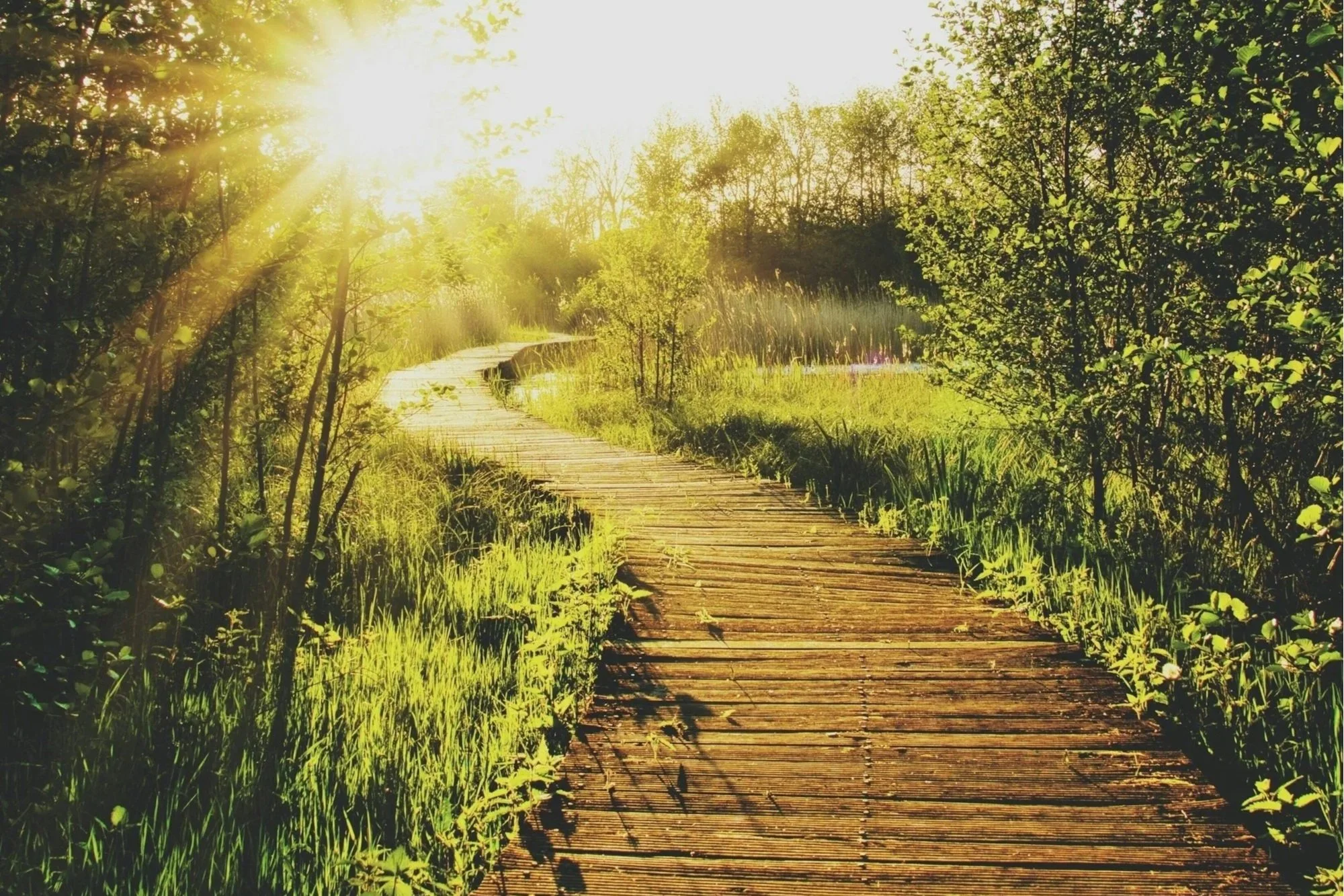 Change Starts Here: What One Change Do You Keep Putting Off?
