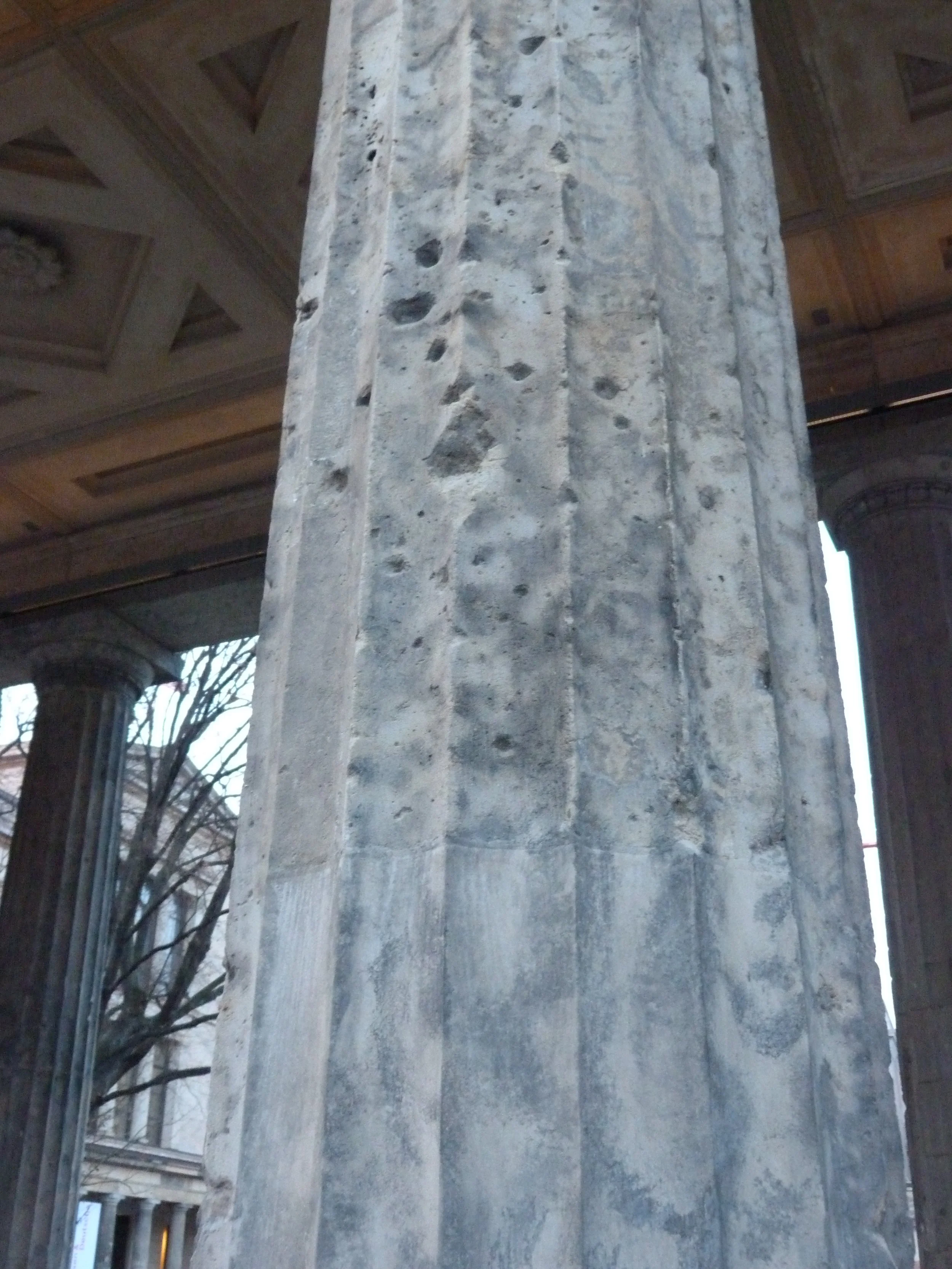 P1010079.JPG