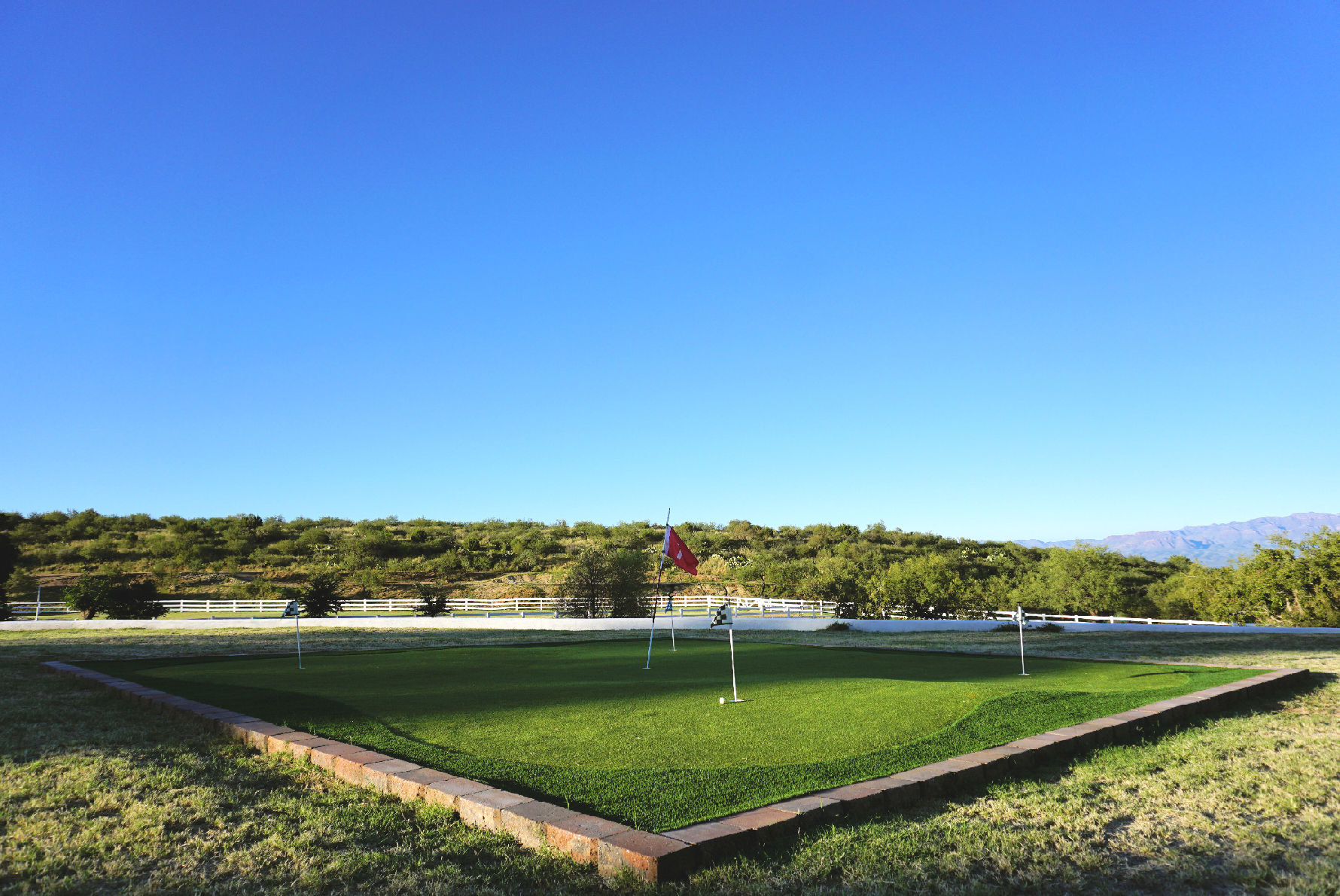 Golf putting green natural background.jpg