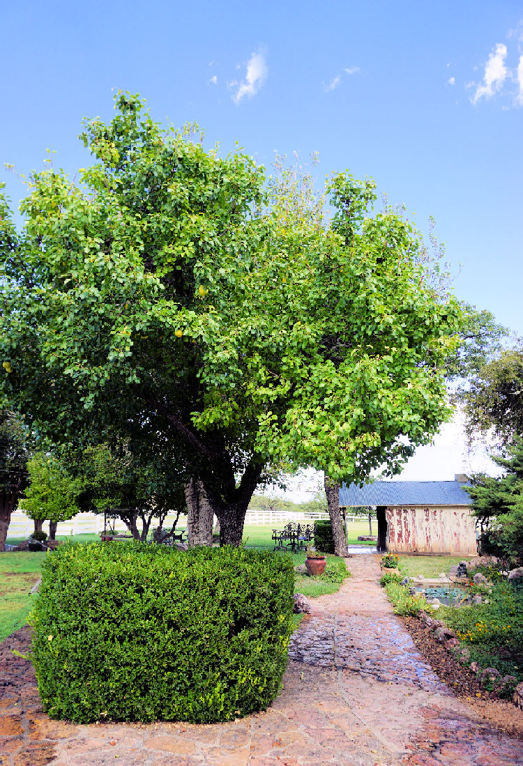 Sidwalk near grotto.jpg