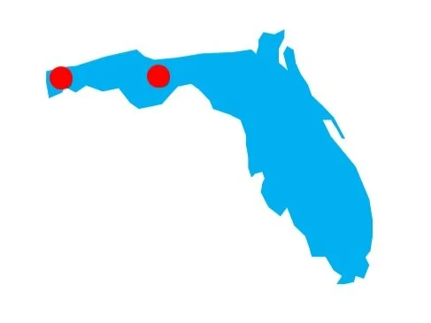 November 2020 Case Studies