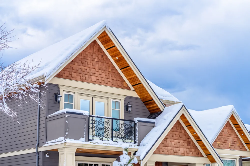 winter roof.jpg