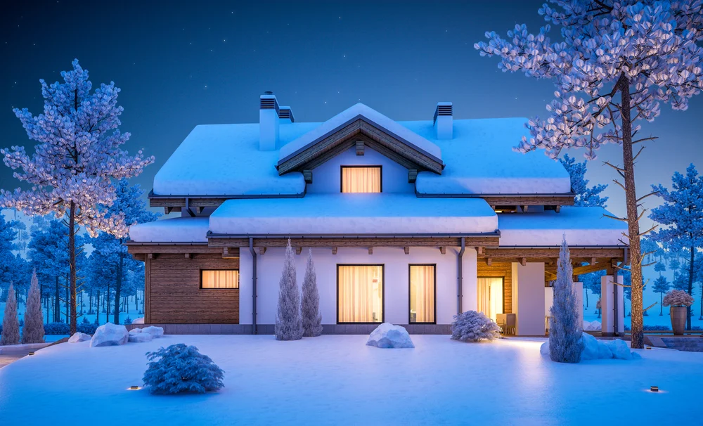 winter roof.jpg
