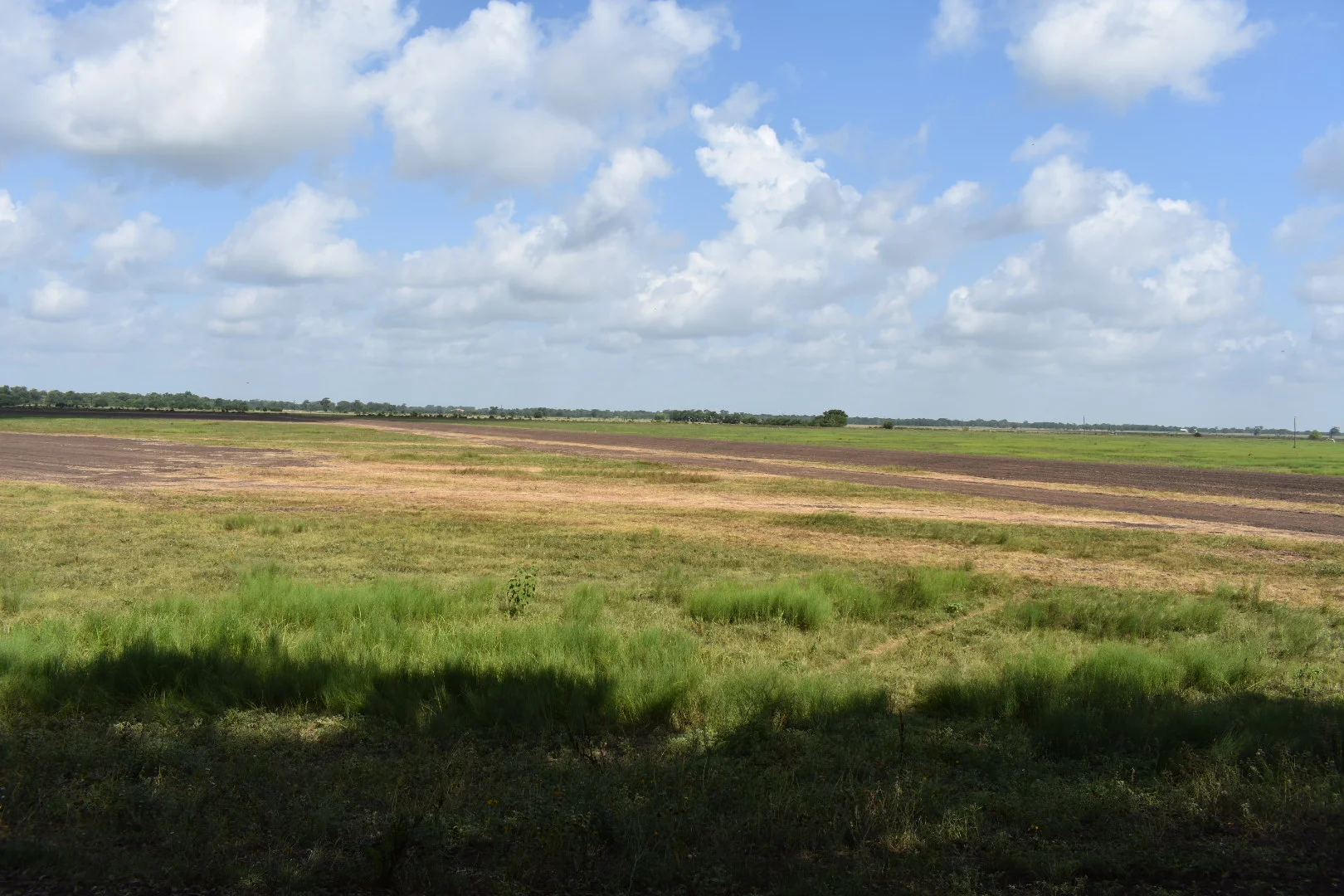 DSC_1294.JPG