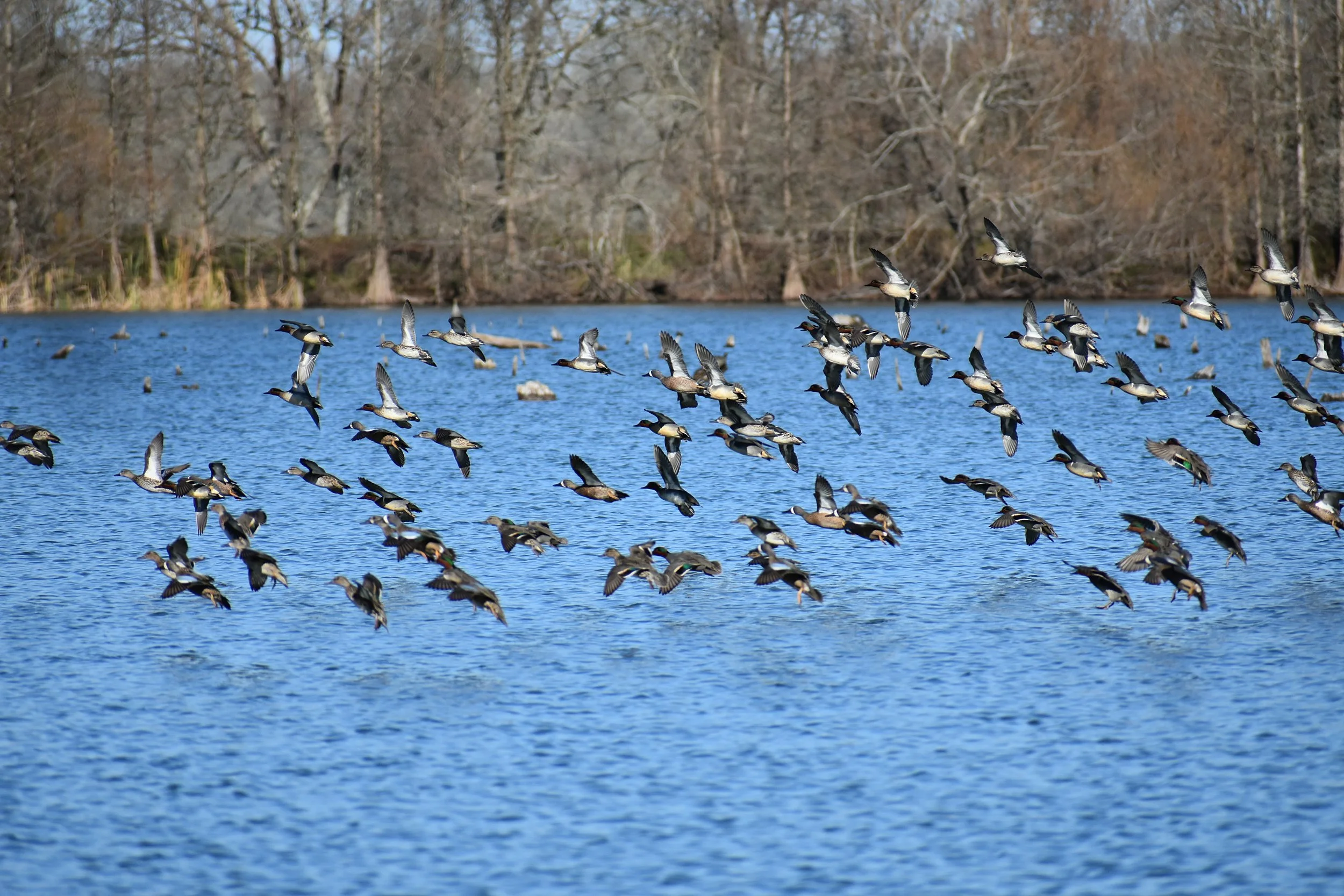 DSC_2382.JPG