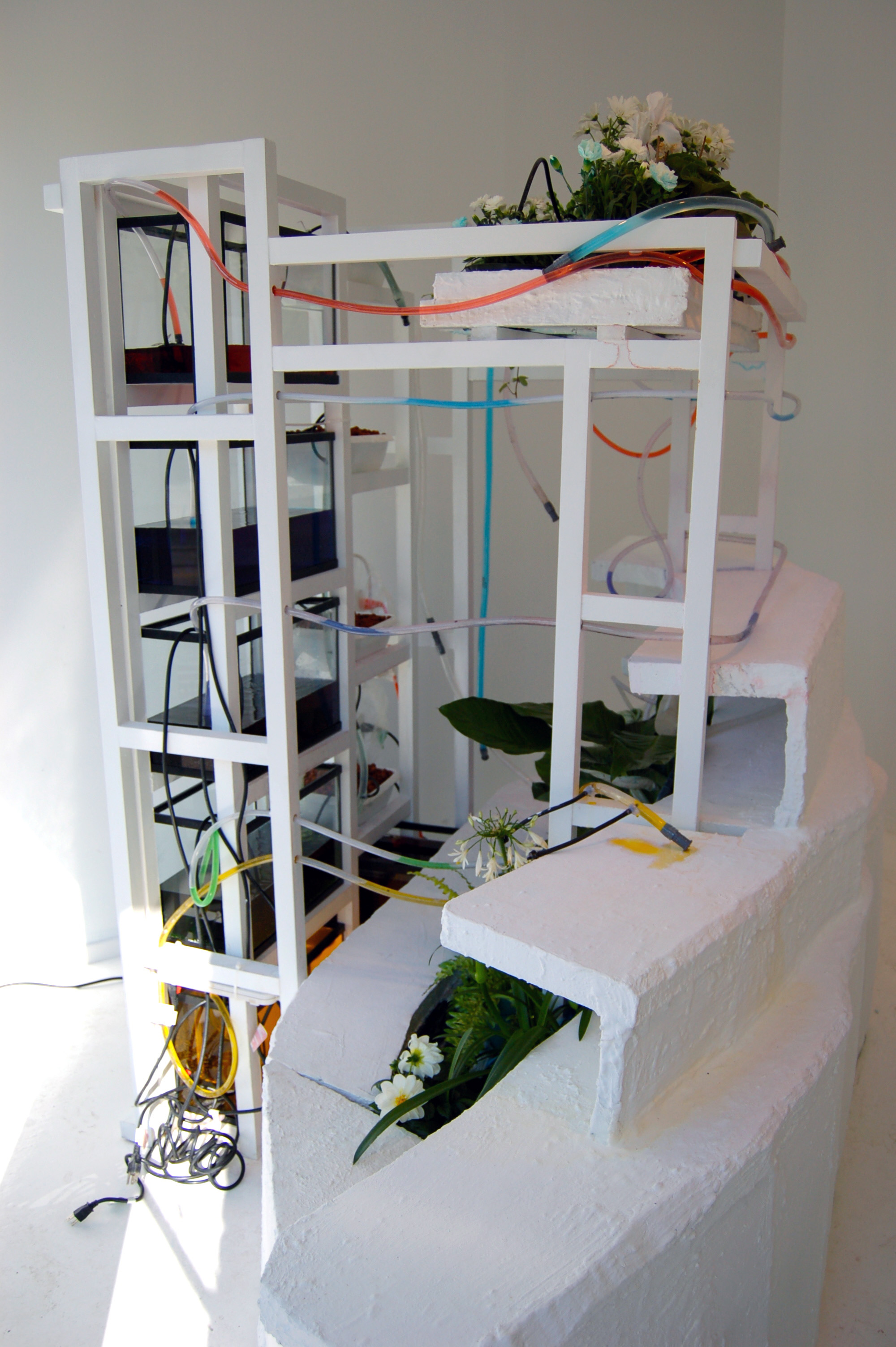 06a. Automata II.jpg