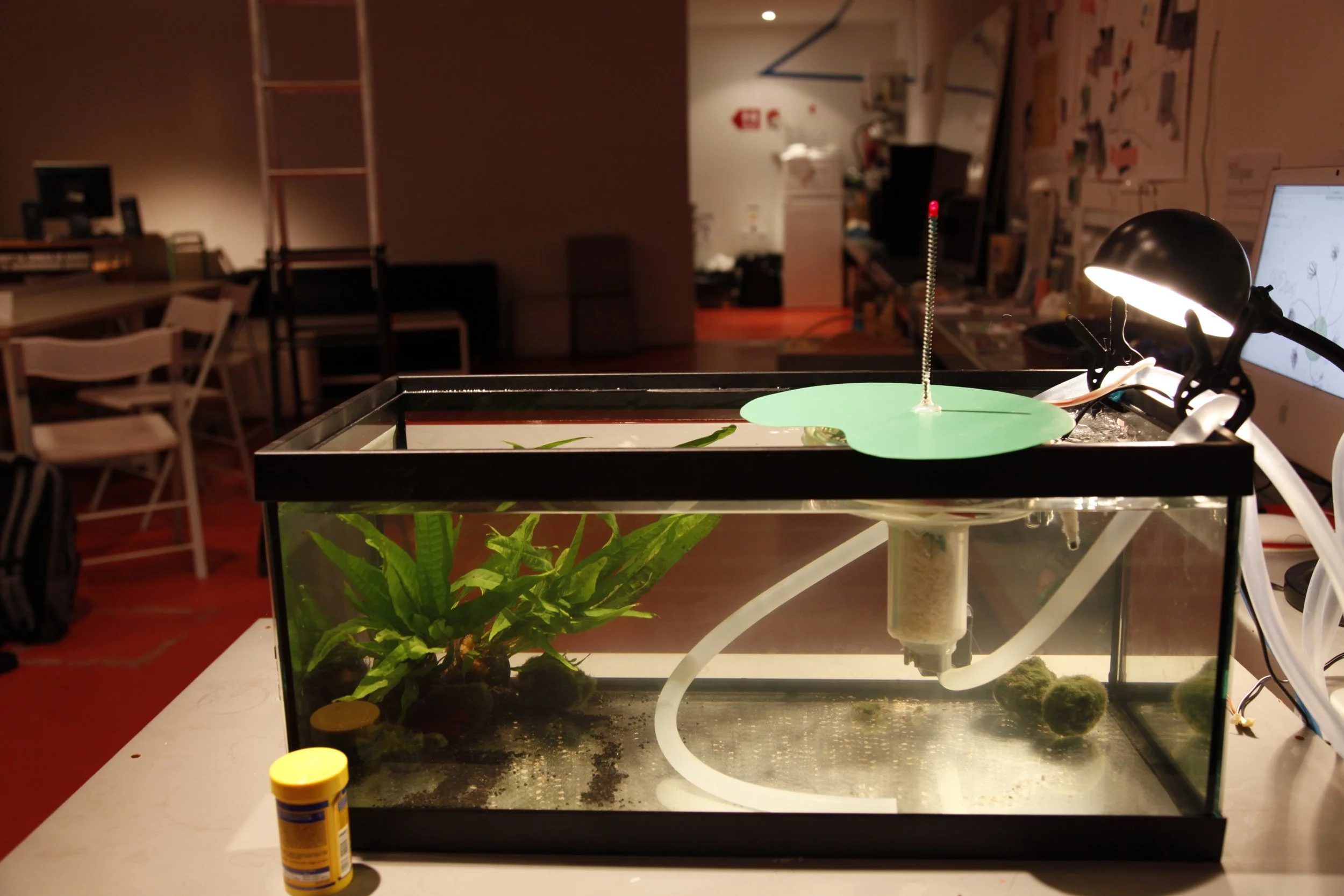 Lilipod, 2010, Medialab Prado, Madrid