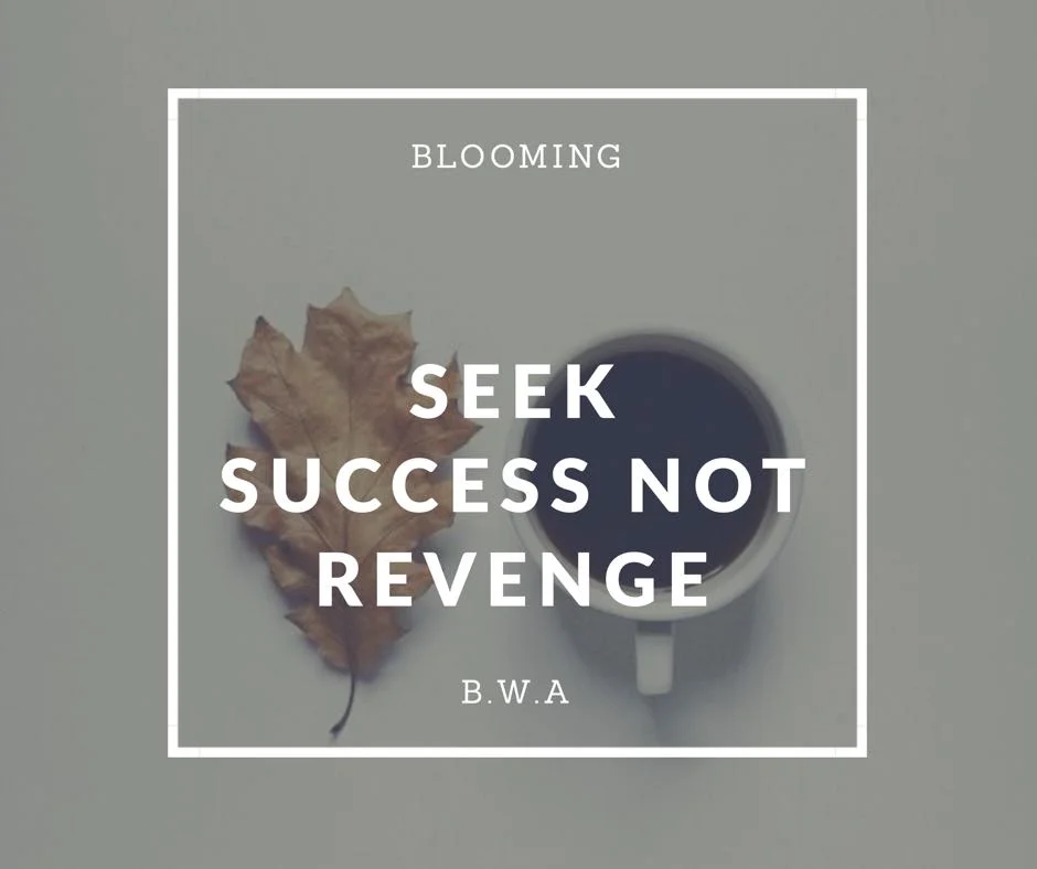 Seek Success Not Revenge 
