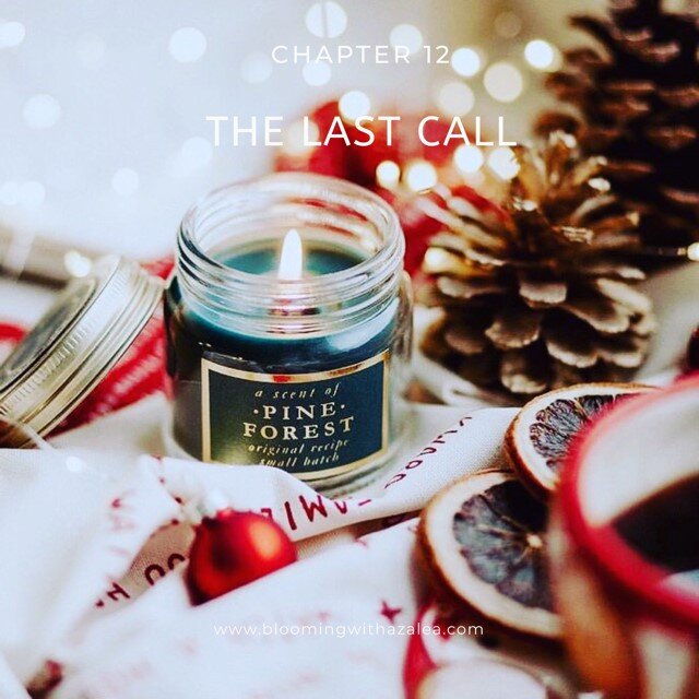 Chapter 12: The Last Call