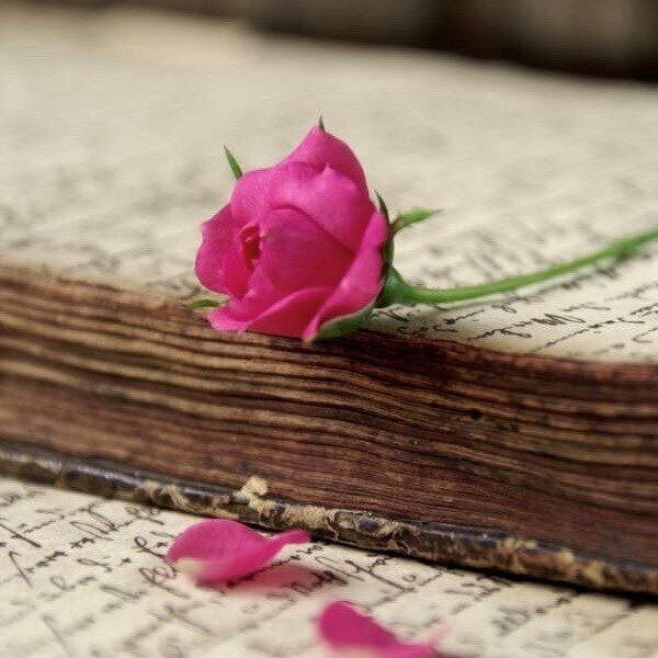 A Loving Letter from Me to You: I Love You! 