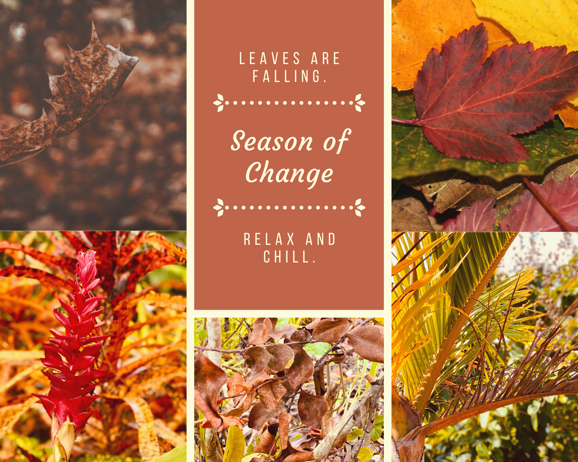 Season of Change 