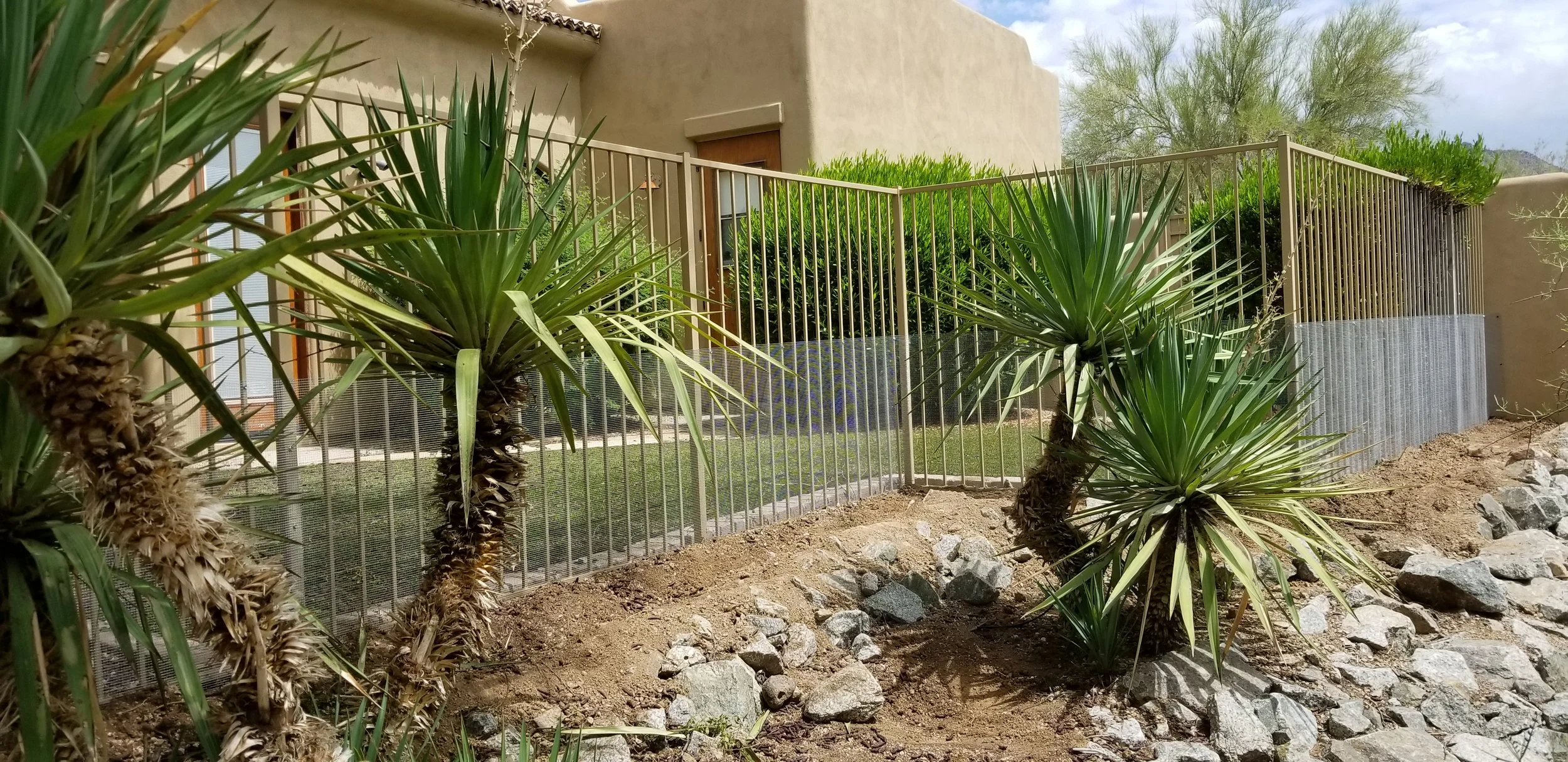 Snake Fence in an Amazing Backyard!