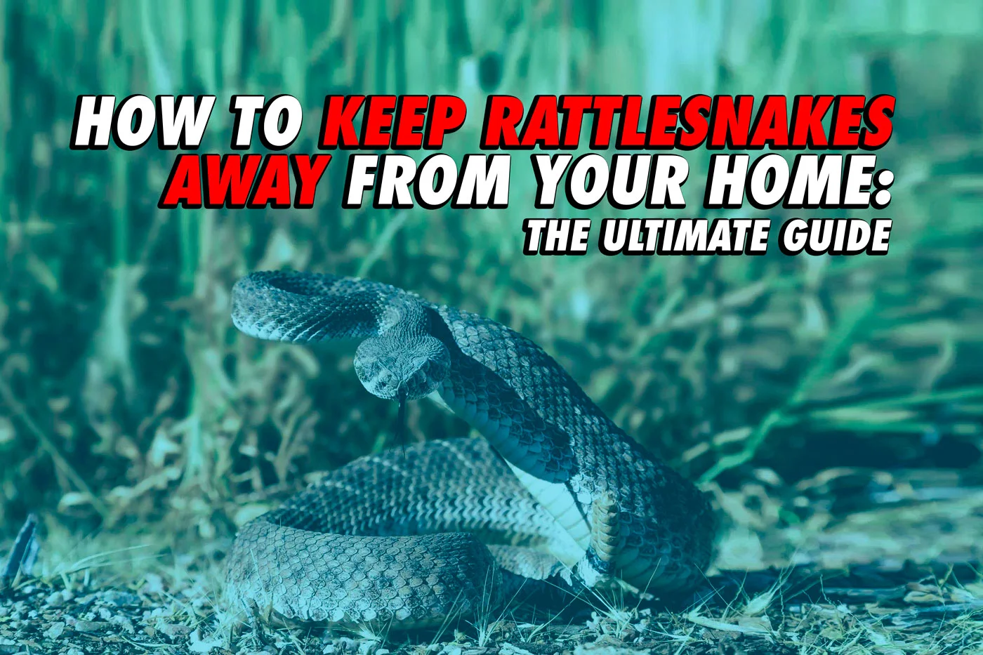 Keeping Snakes Away - The Ultimate How-To Guide to Keeping Rattlesnakes (and others) Off Your Property