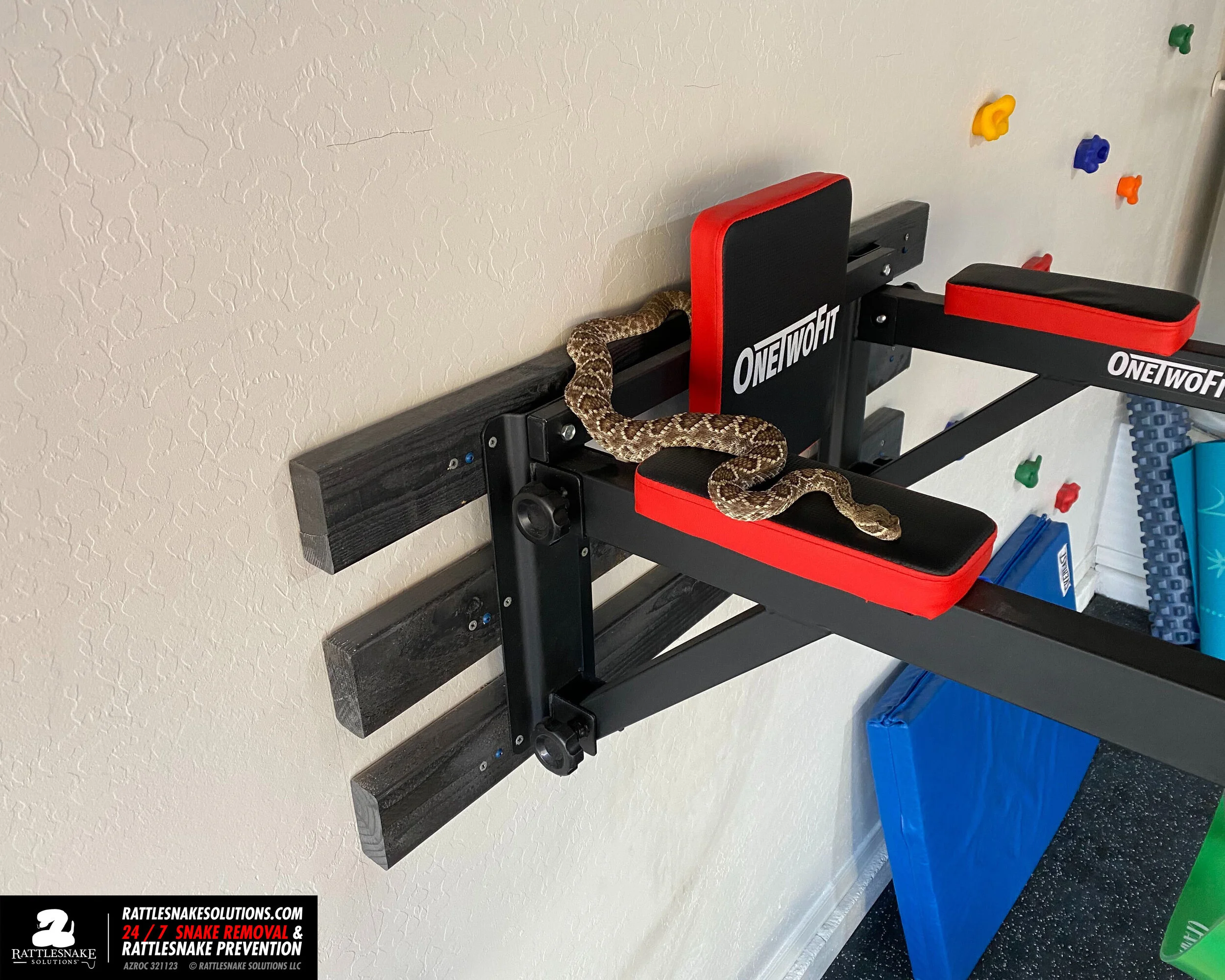 Snake fence projects and removals - 10/29/30