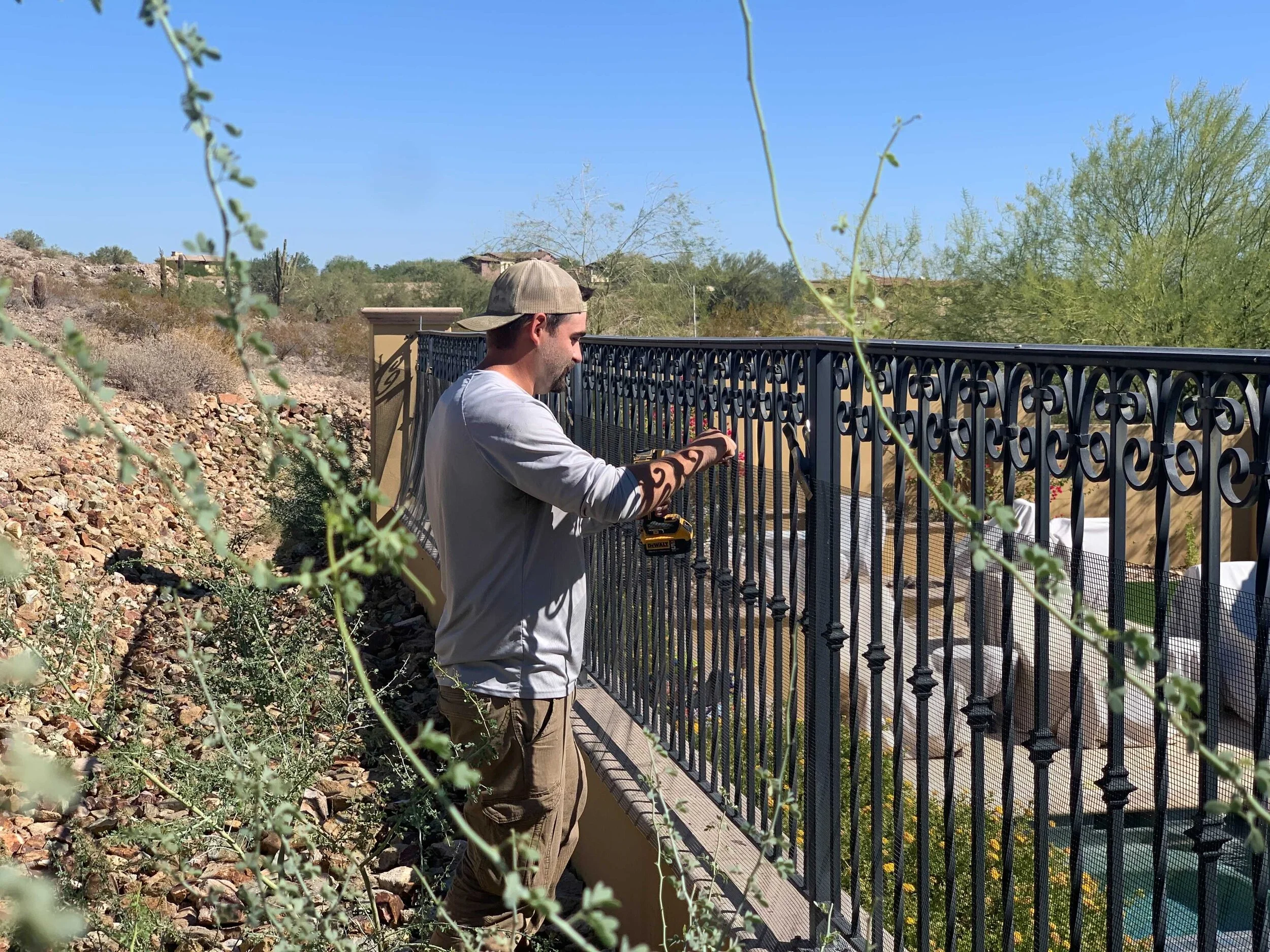 Snake Relocations and Recent Projects 11/06/20