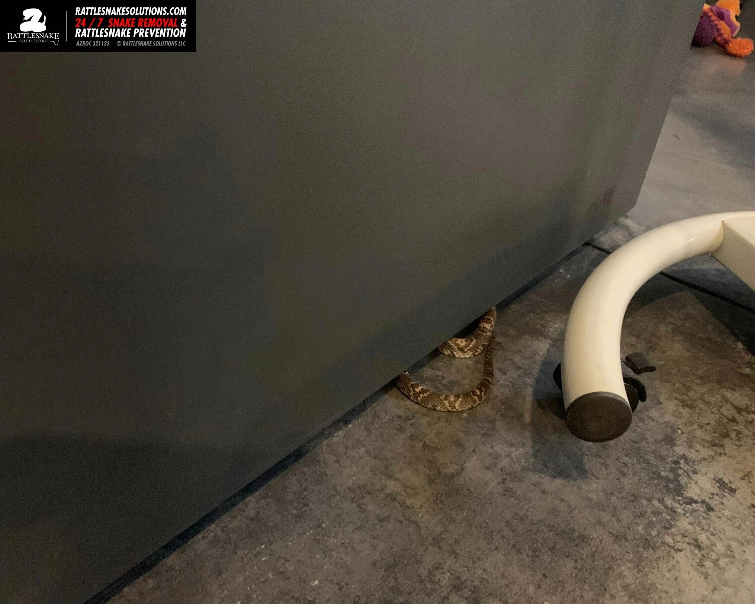 Image-from-iOS 2.jpg