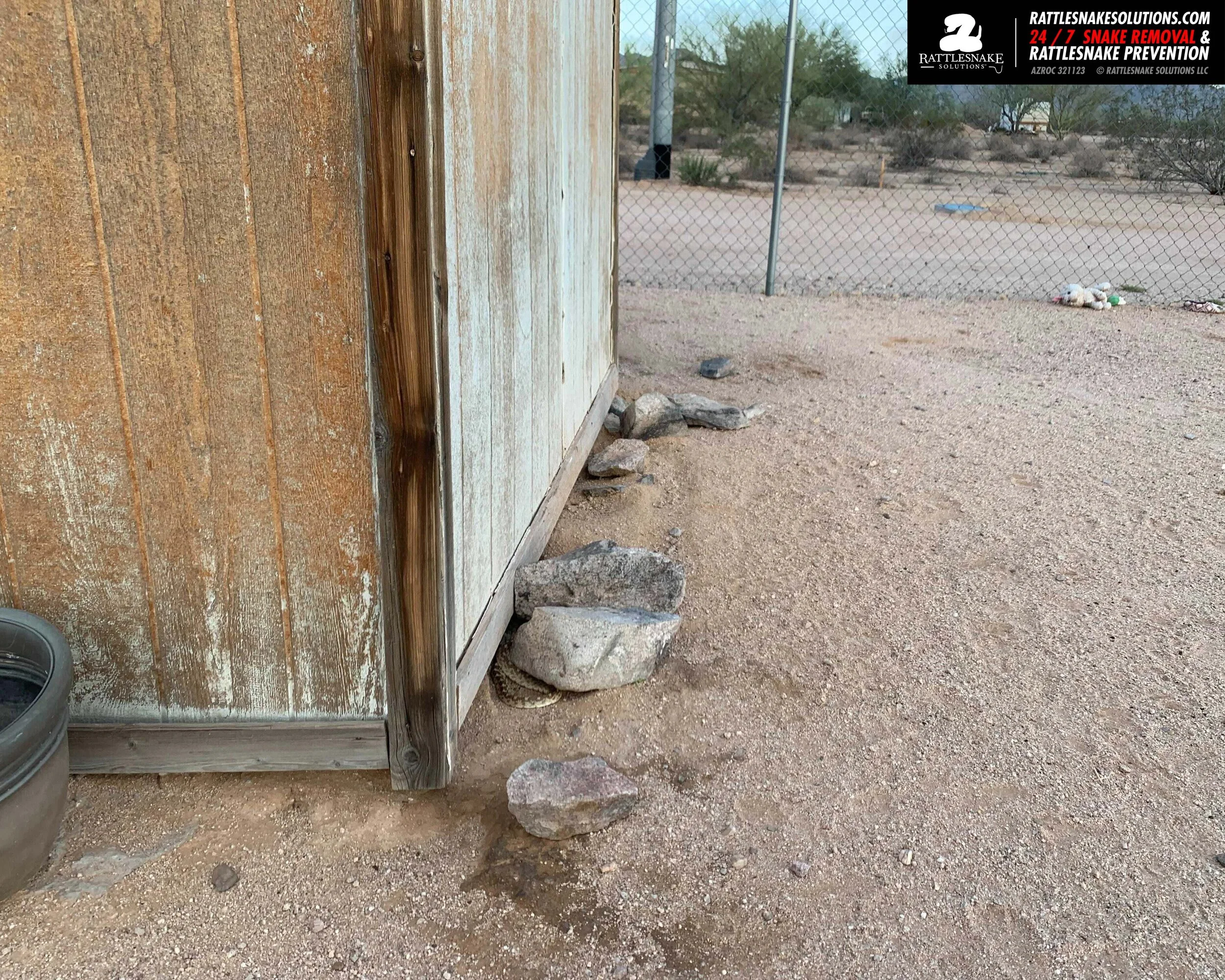 Gophersnake Removal.jpg