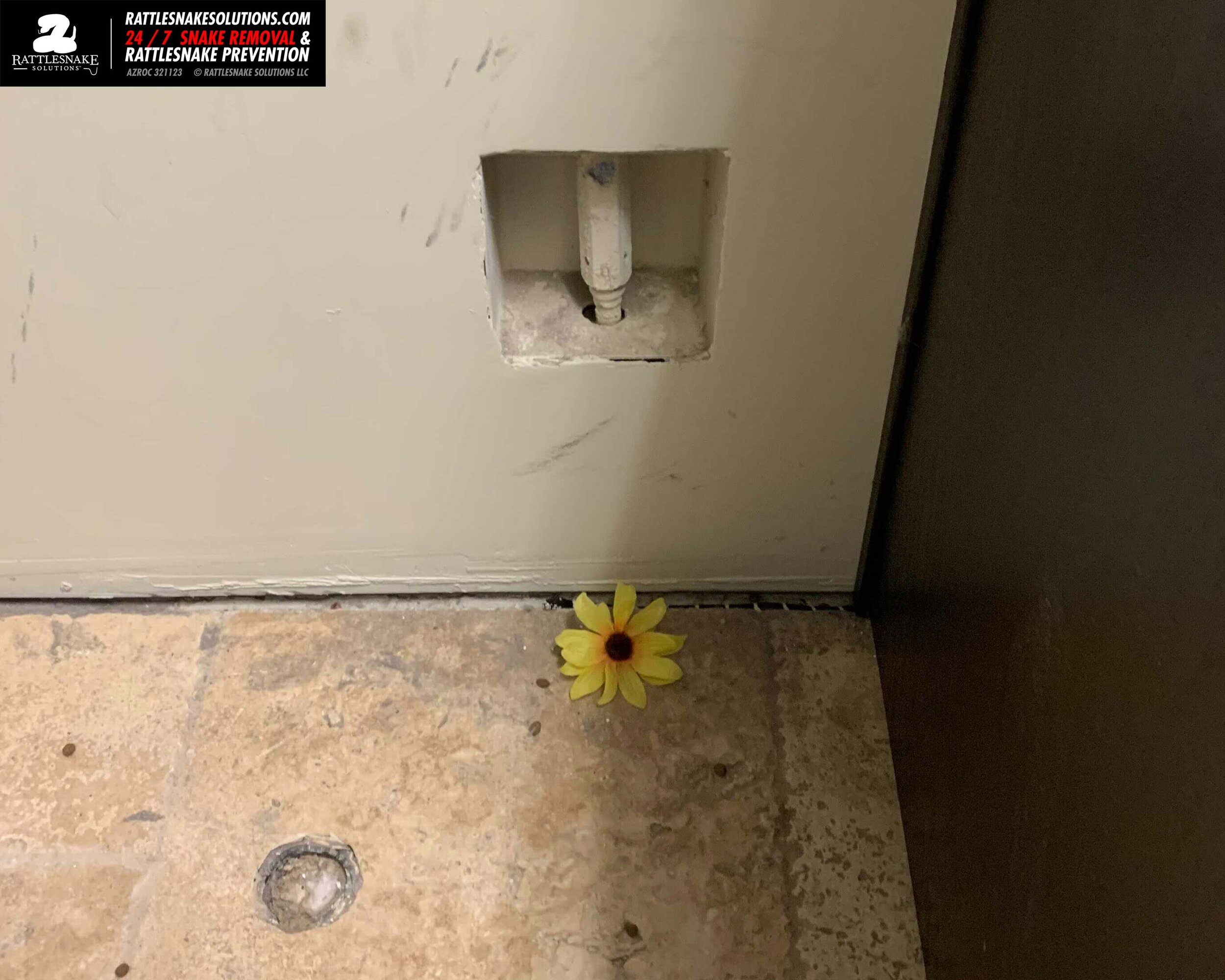 Image-from-iOS 3.jpg