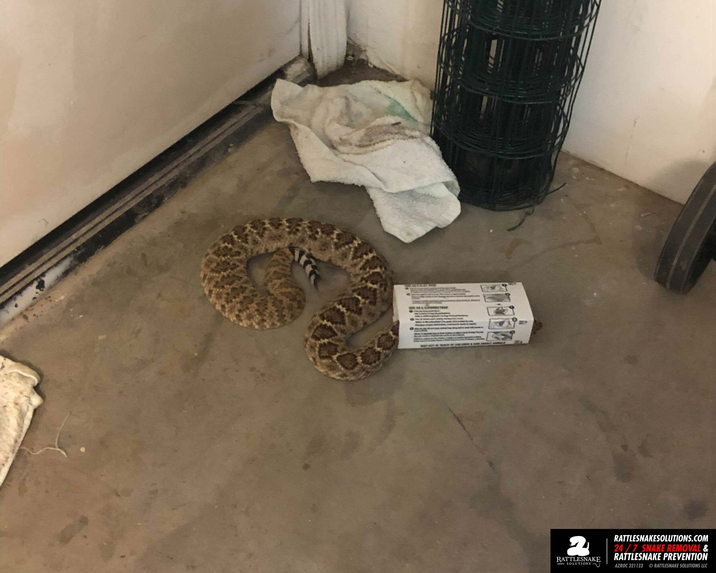 Image-from-iOS 5.jpg