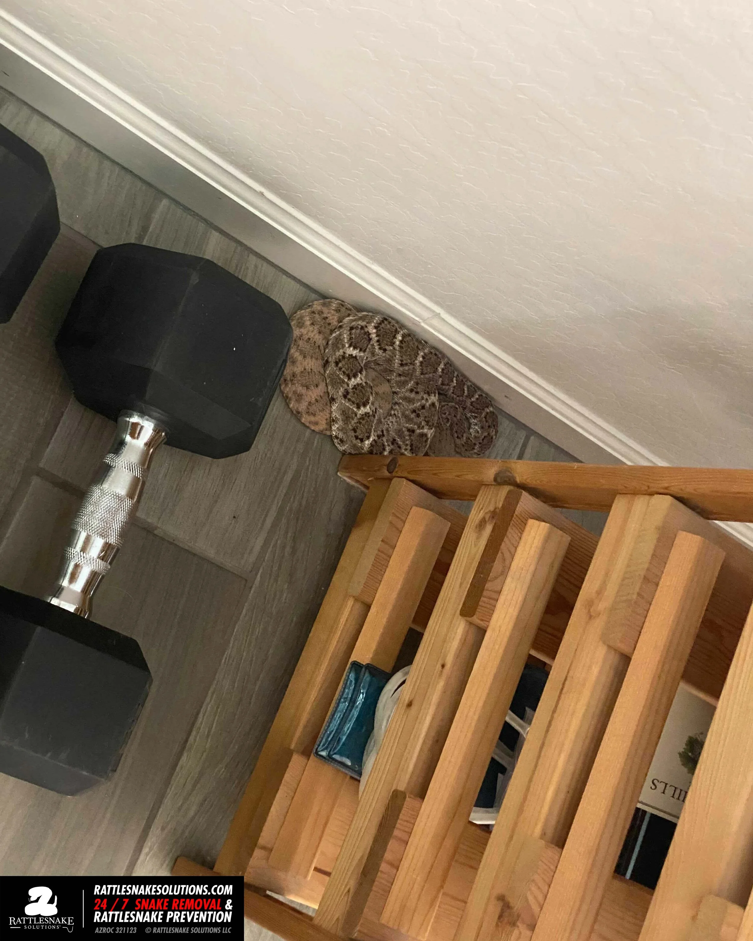 Image-from-iOS 4.jpg