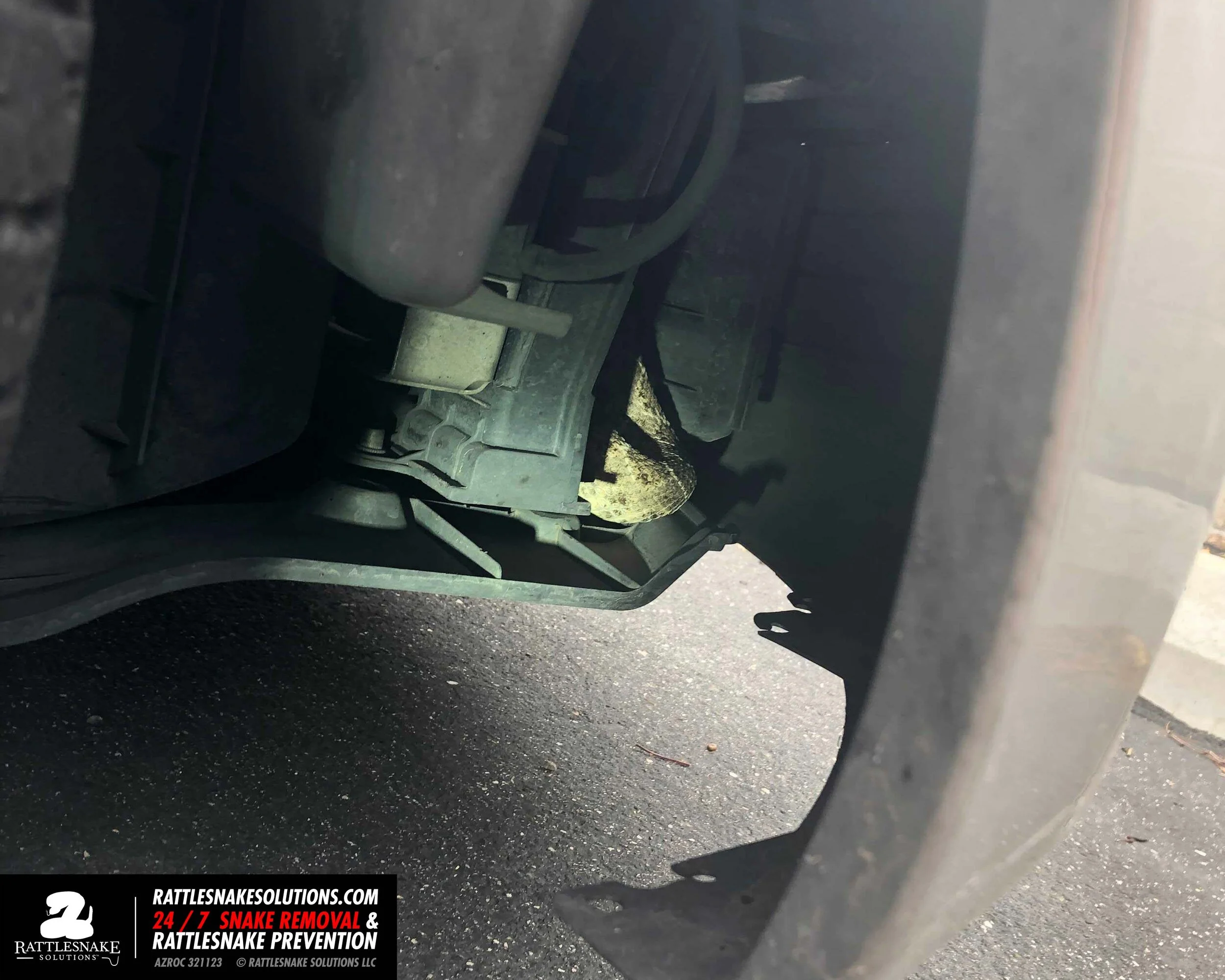 Image-from-iOS 6.jpg