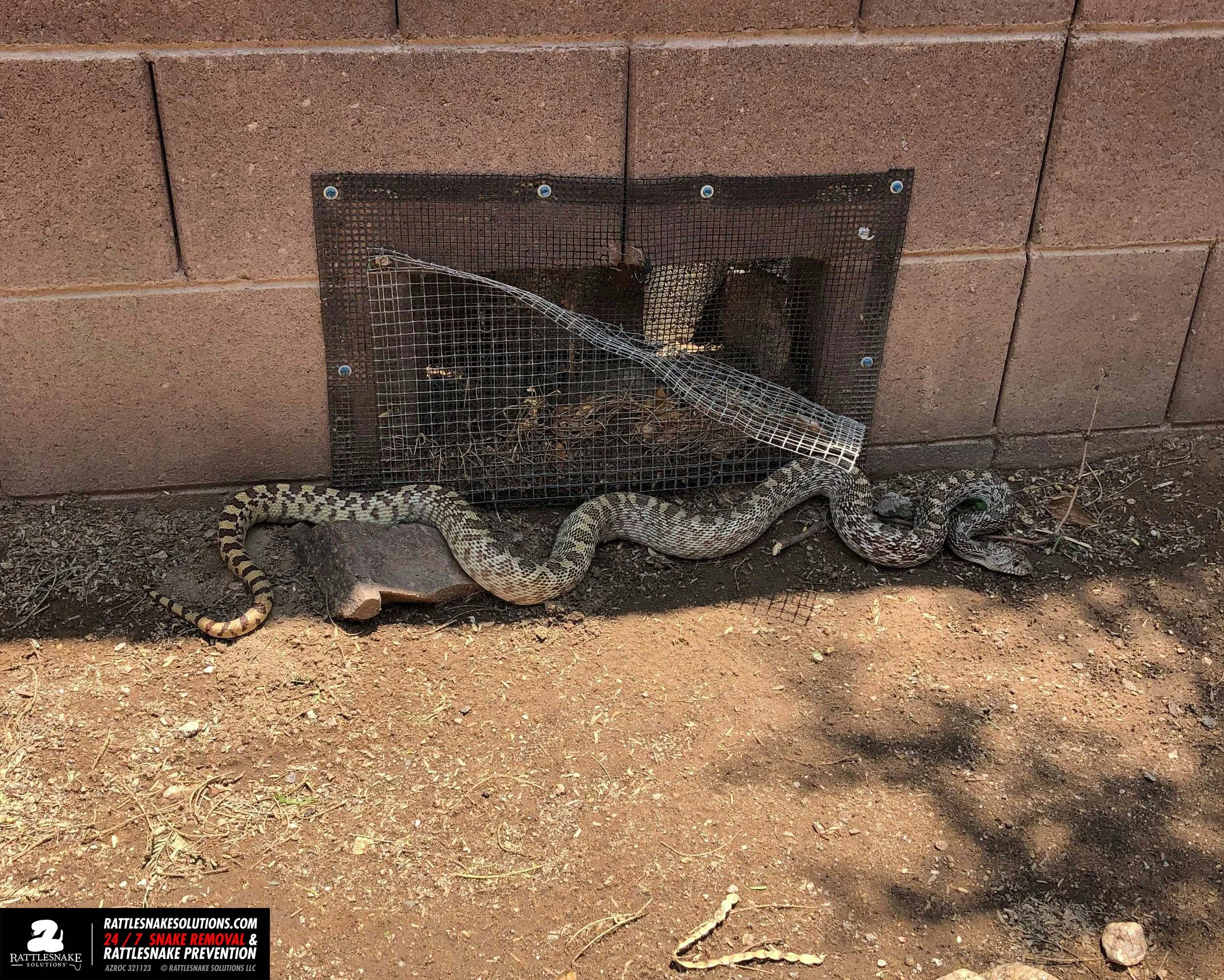 Image-from-iOS 7.jpg