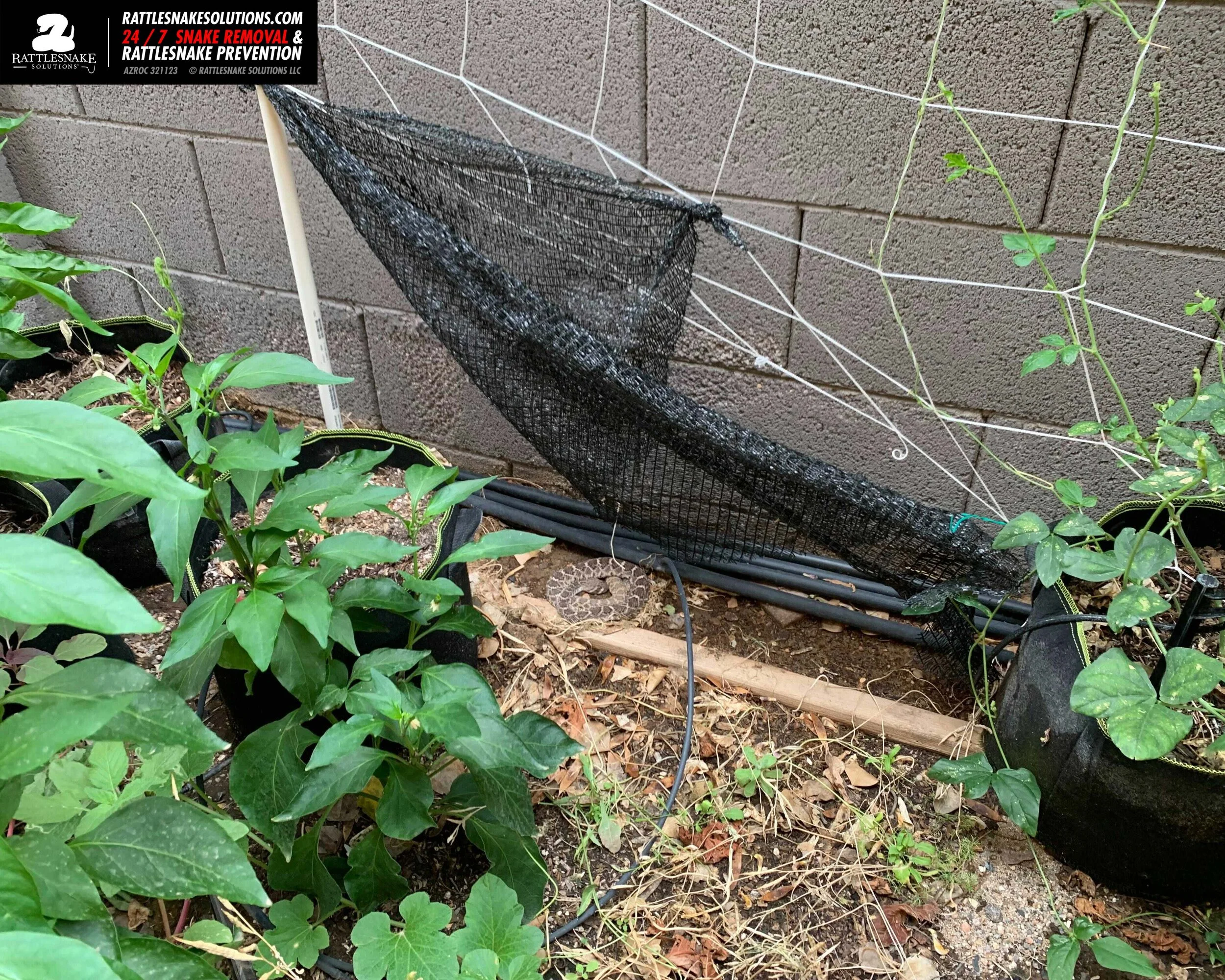 Image-from-iOS 8.jpg