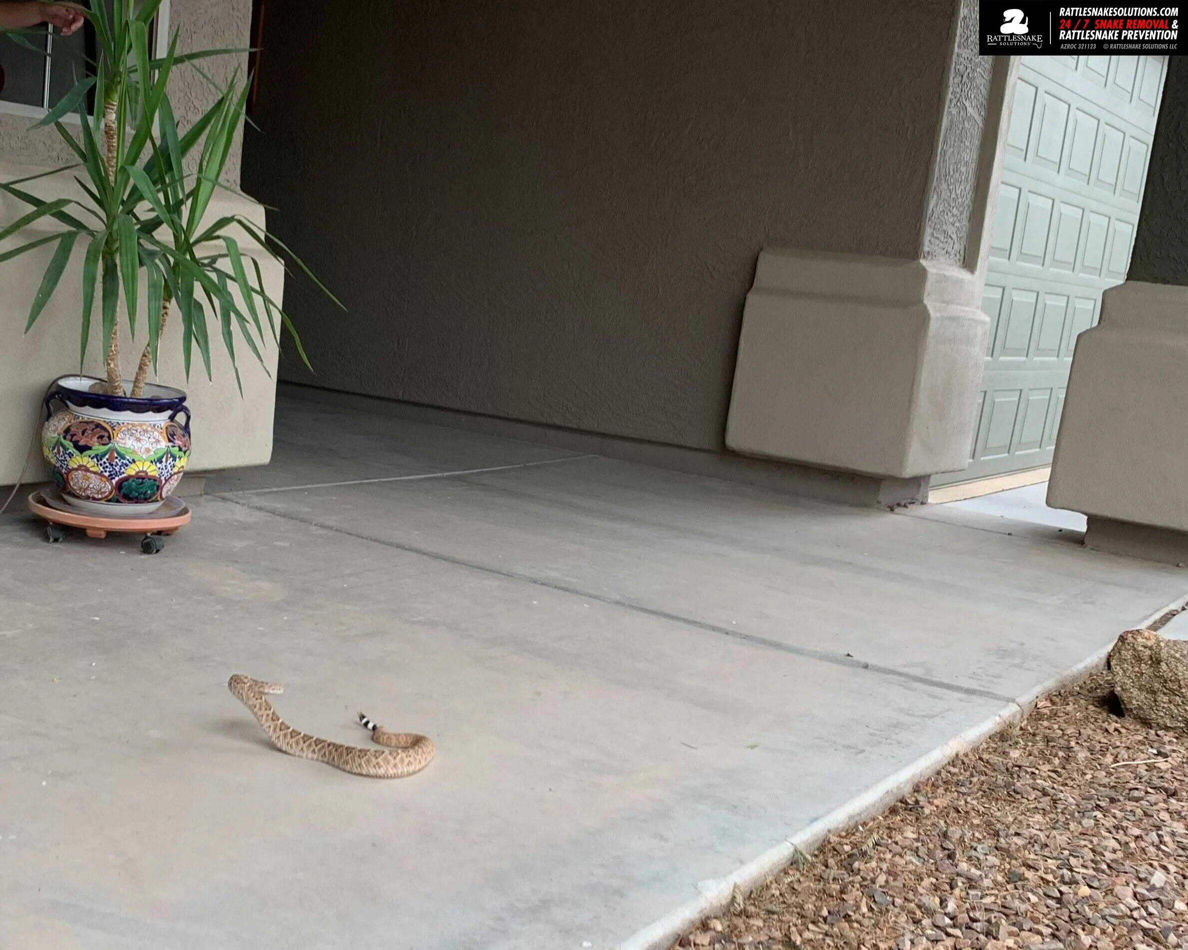 Image-from-iOS 10.jpg