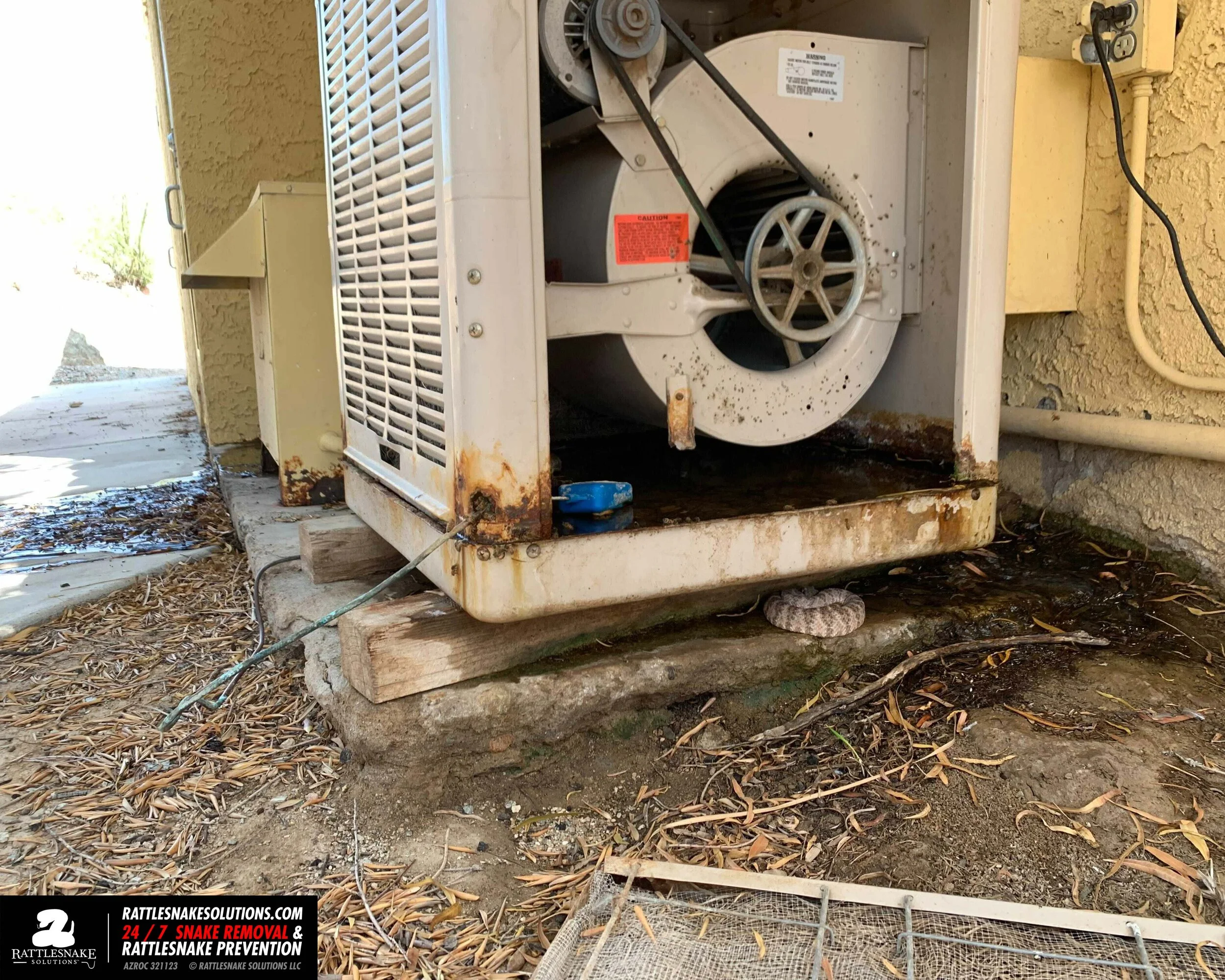 Image-from-iOS 12.jpg