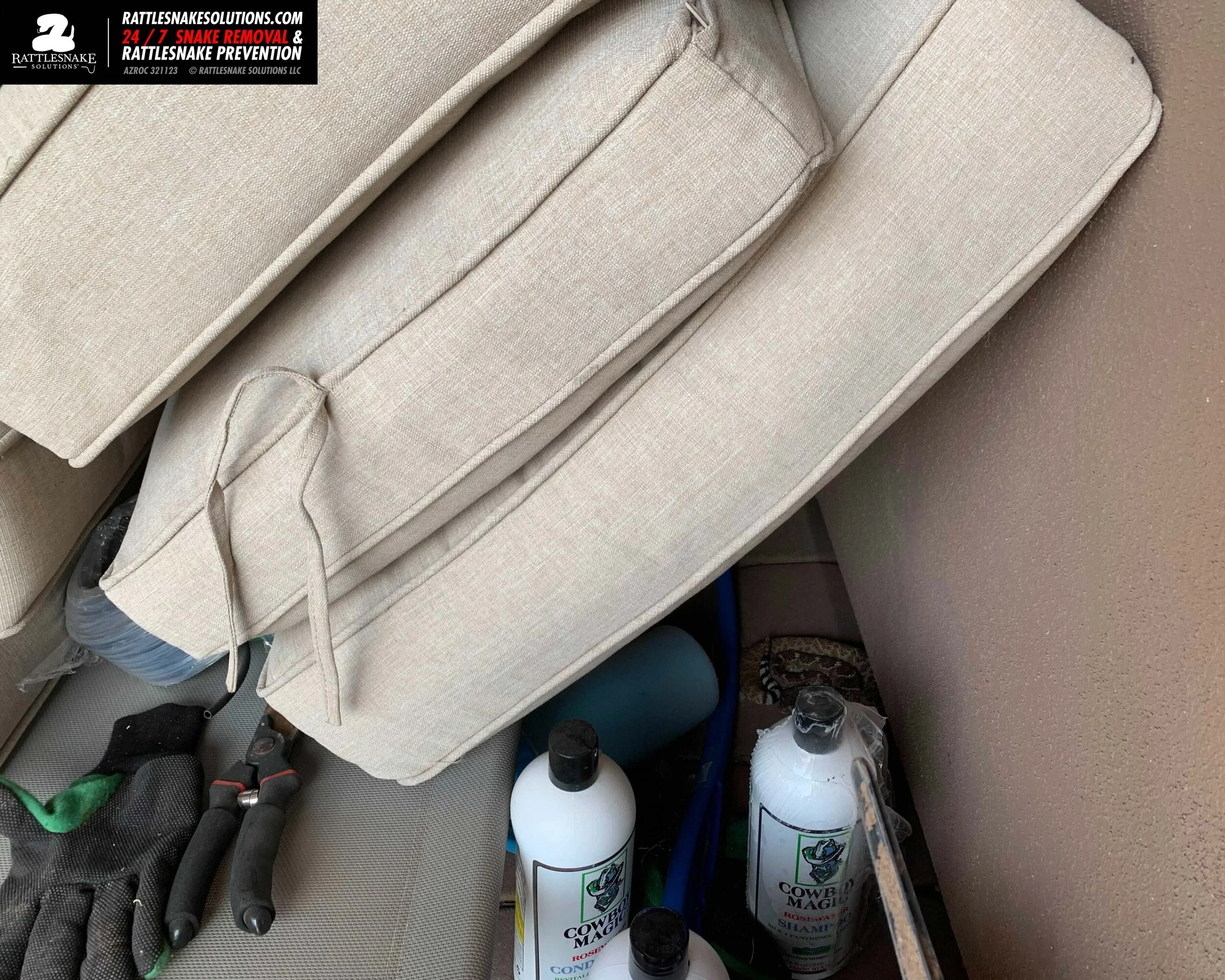 Image-from-iOS 13.jpg