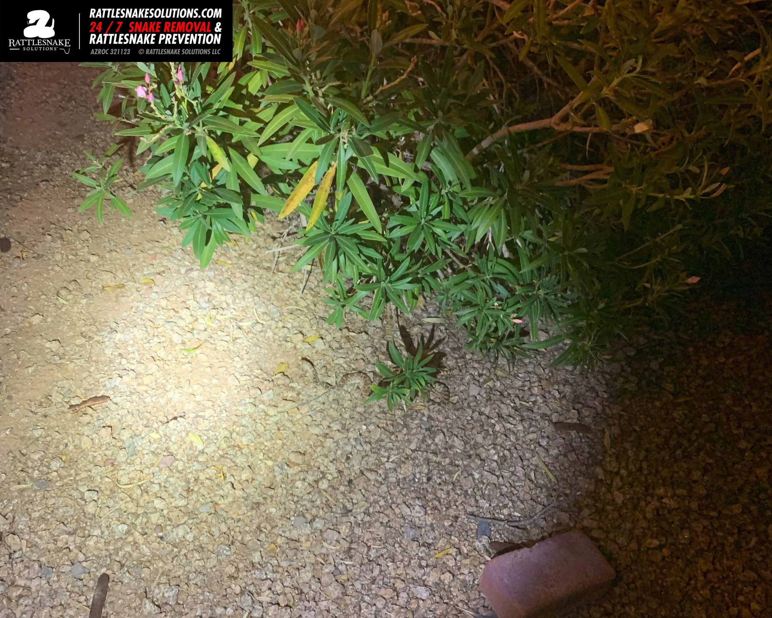 Image-from-iOS 14.jpg