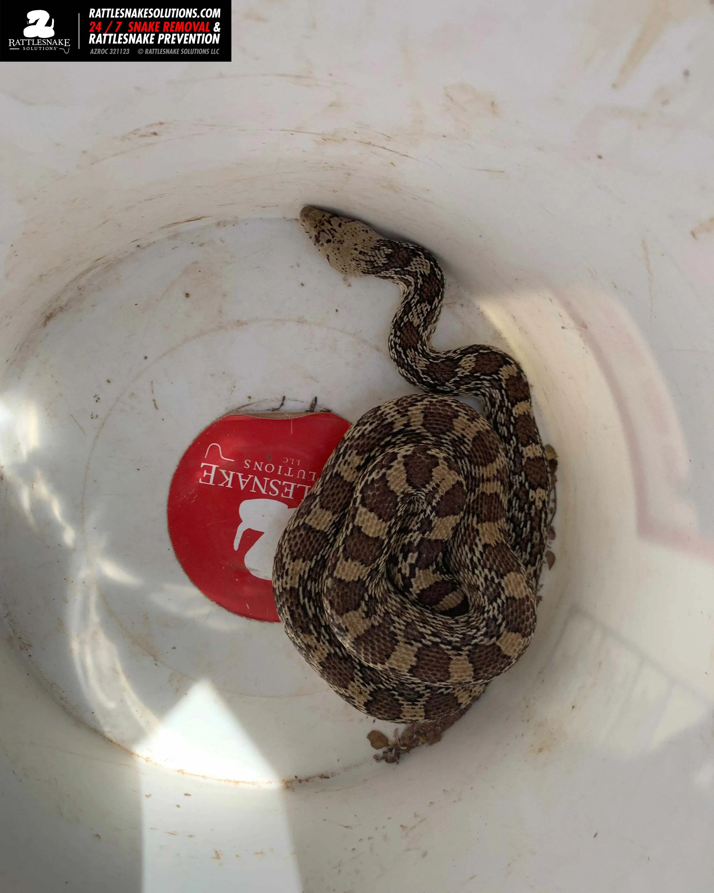 Image-from-iOS 15.jpg