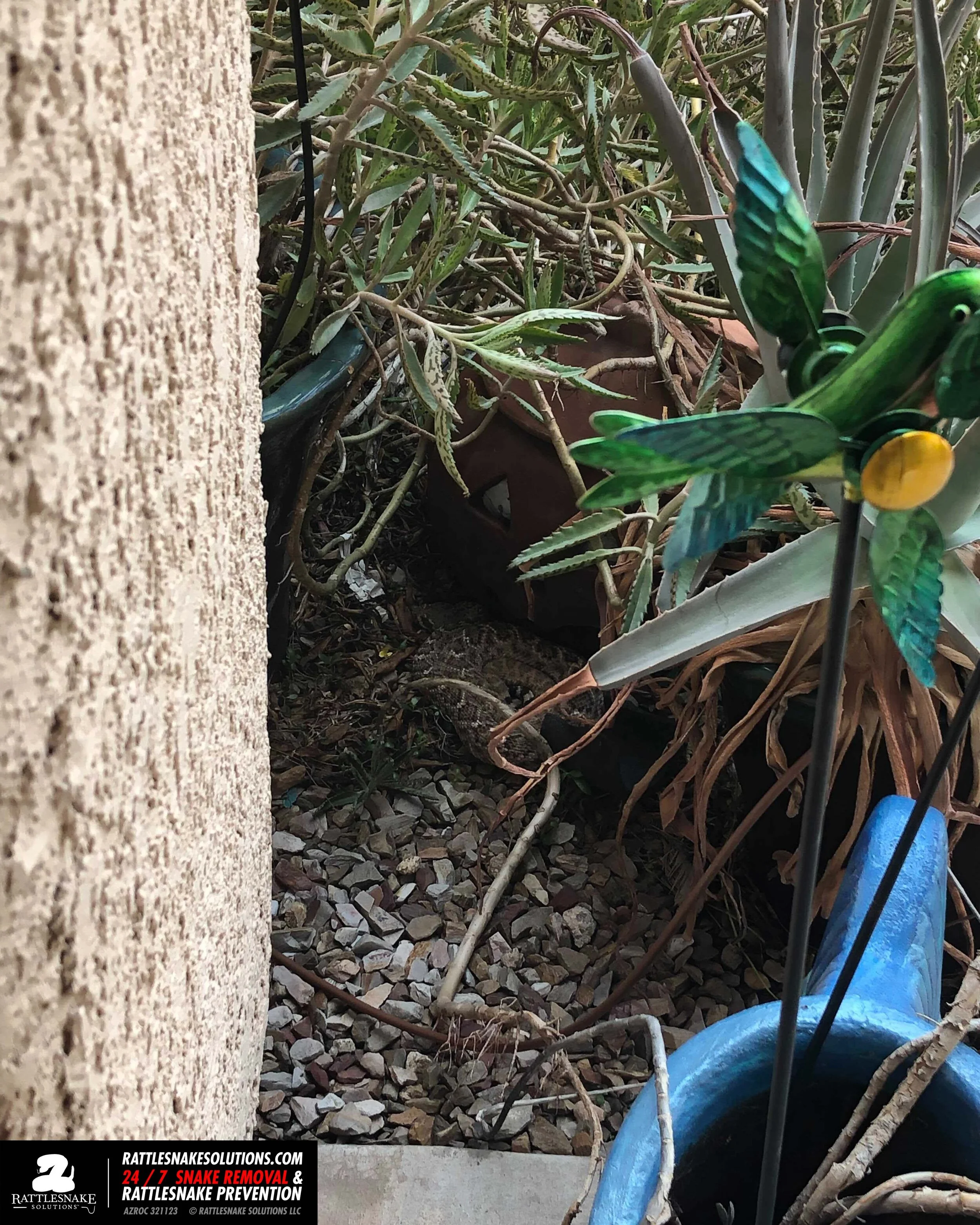 Image-from-iOS 16.jpg