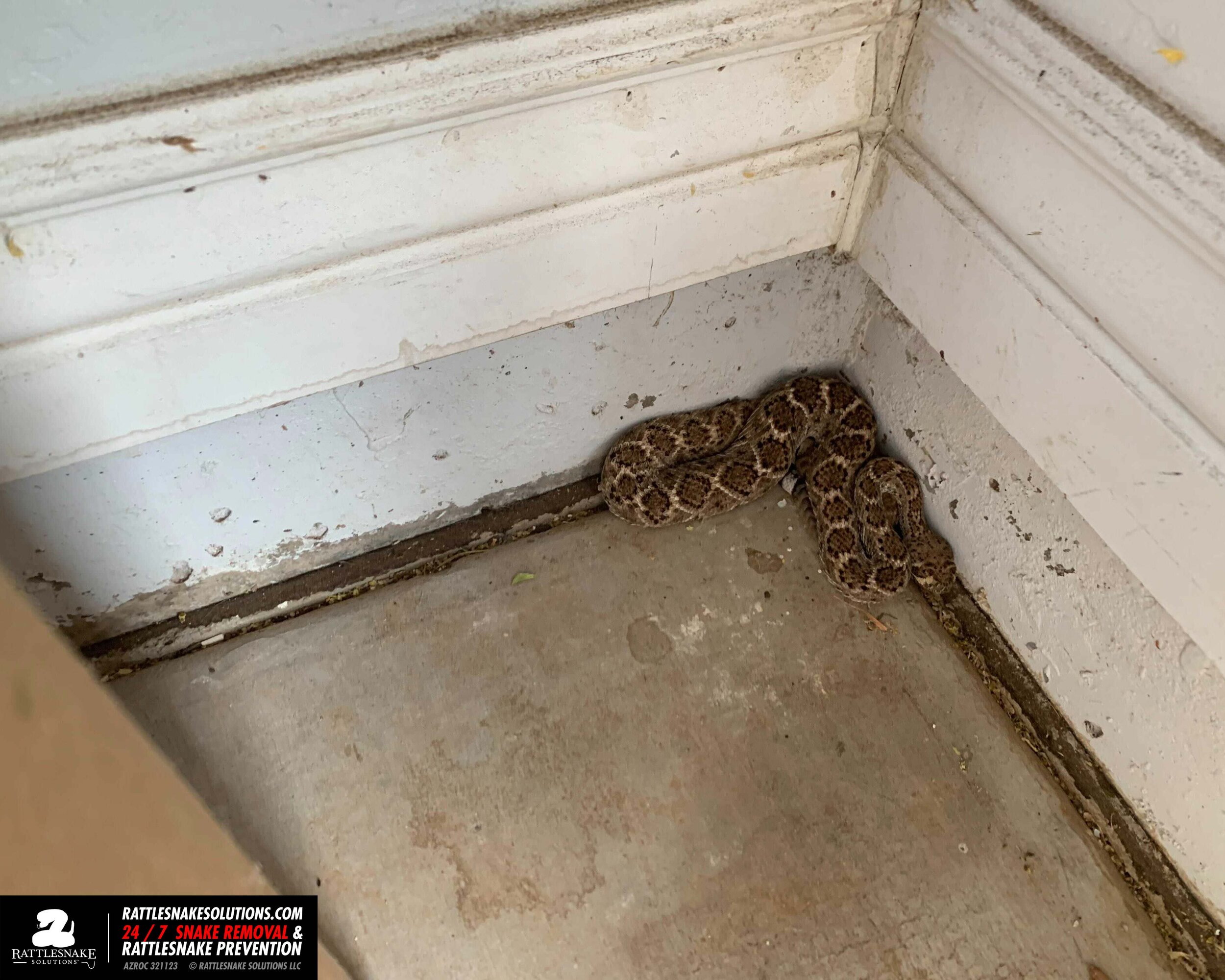 Image-from-iOS-(1) (1).jpg