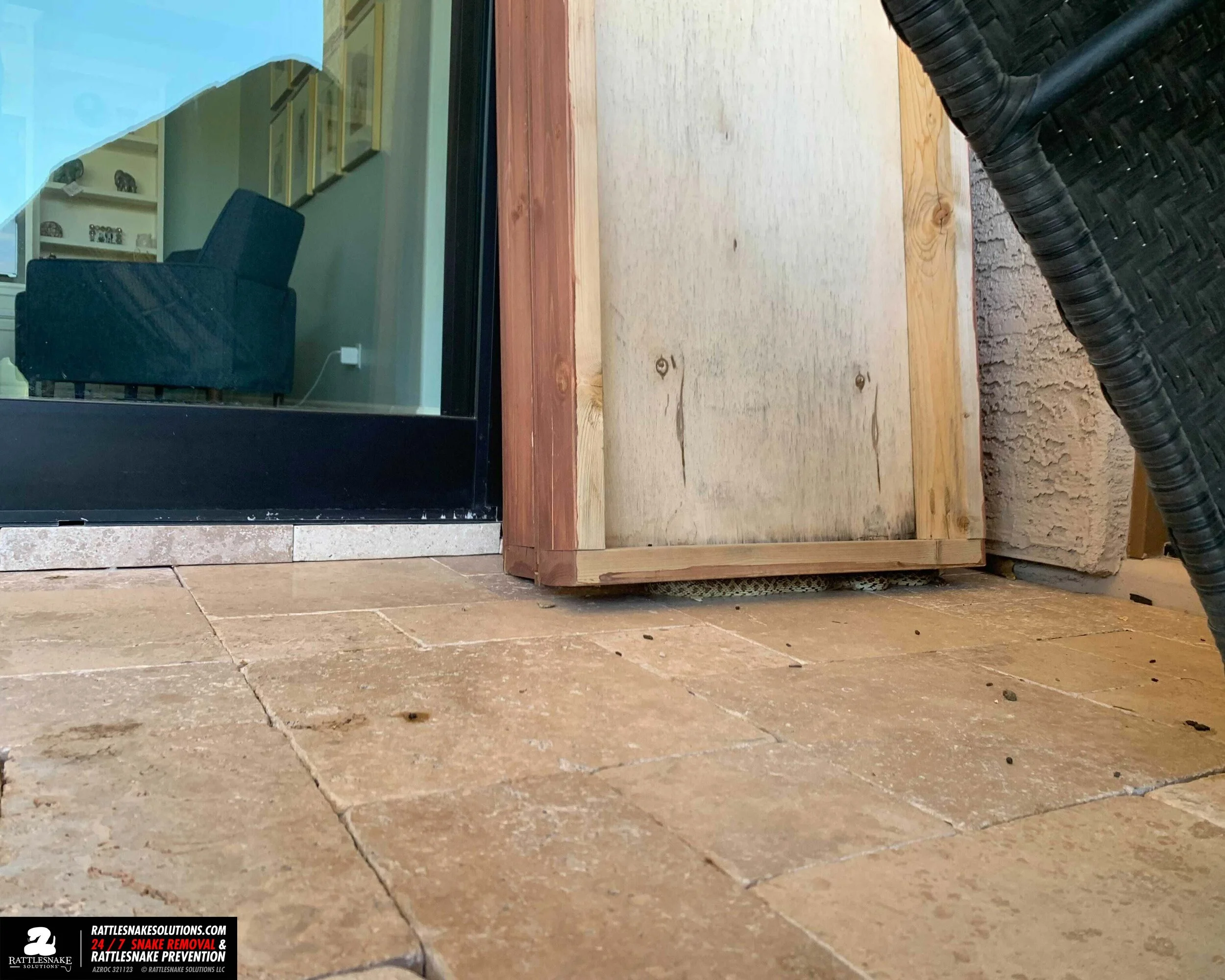 Image-from-iOS-(1) 2.jpg