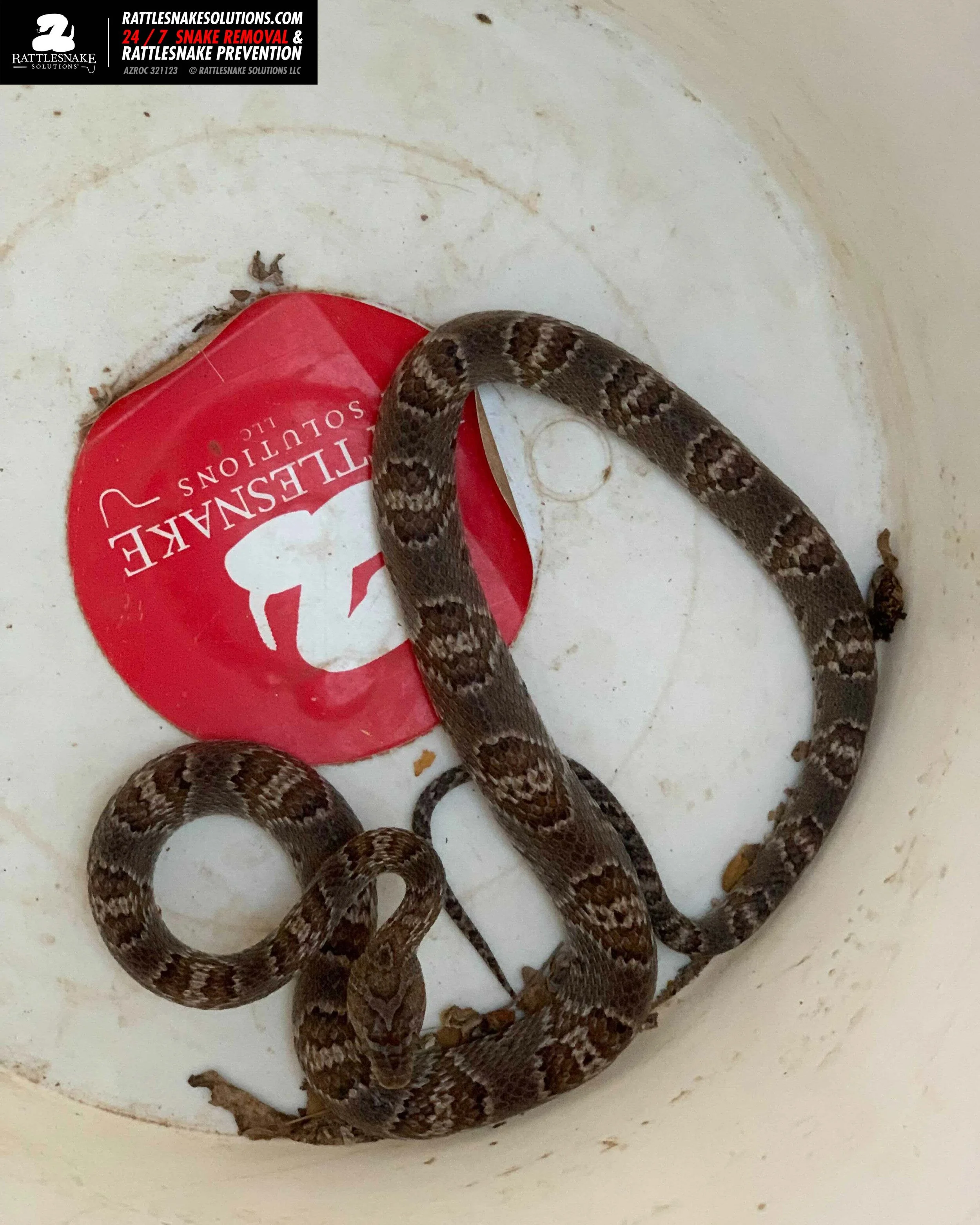 Image-from-iOS-(1) 3.jpg