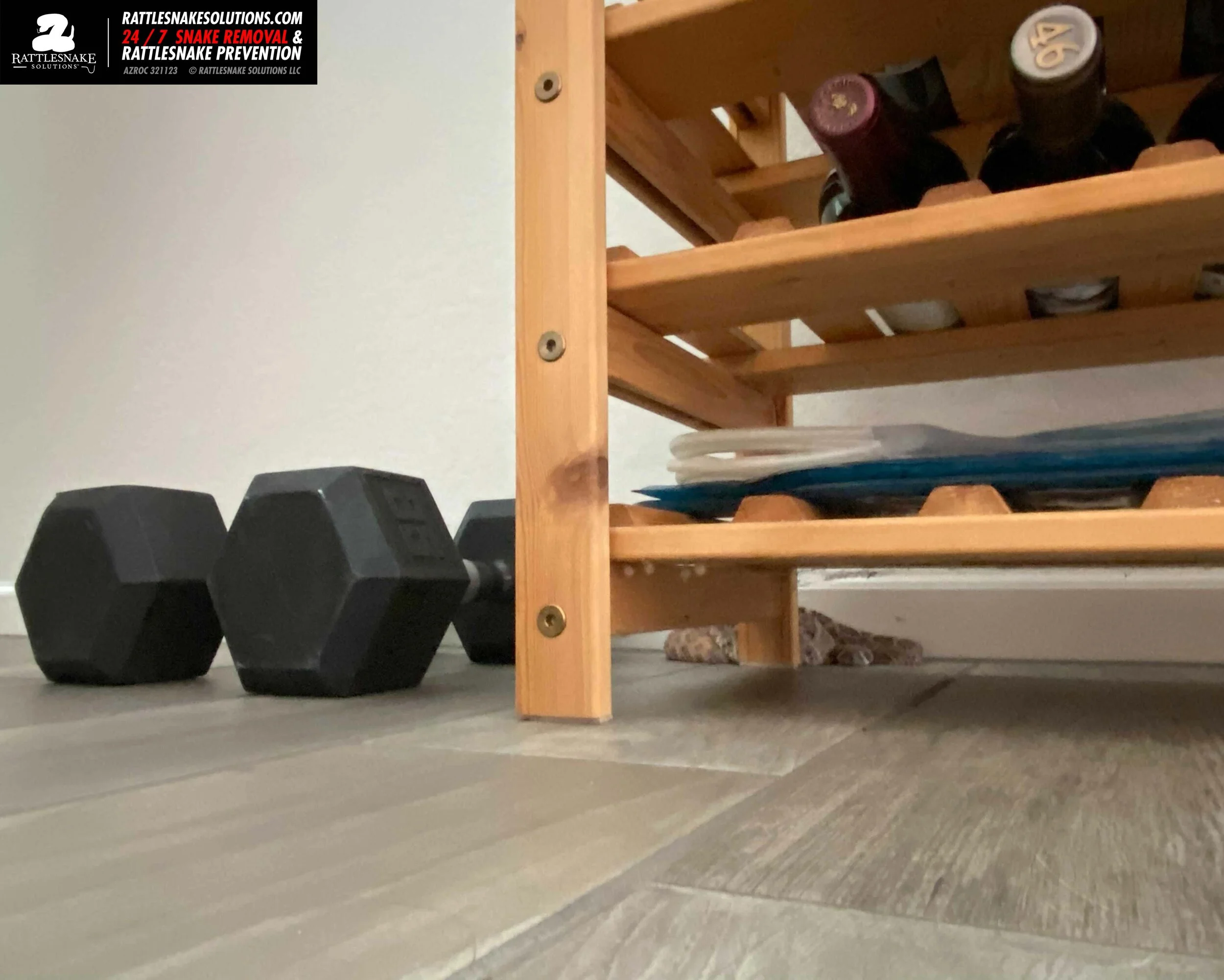 Image-from-iOS-(1) 5.jpg