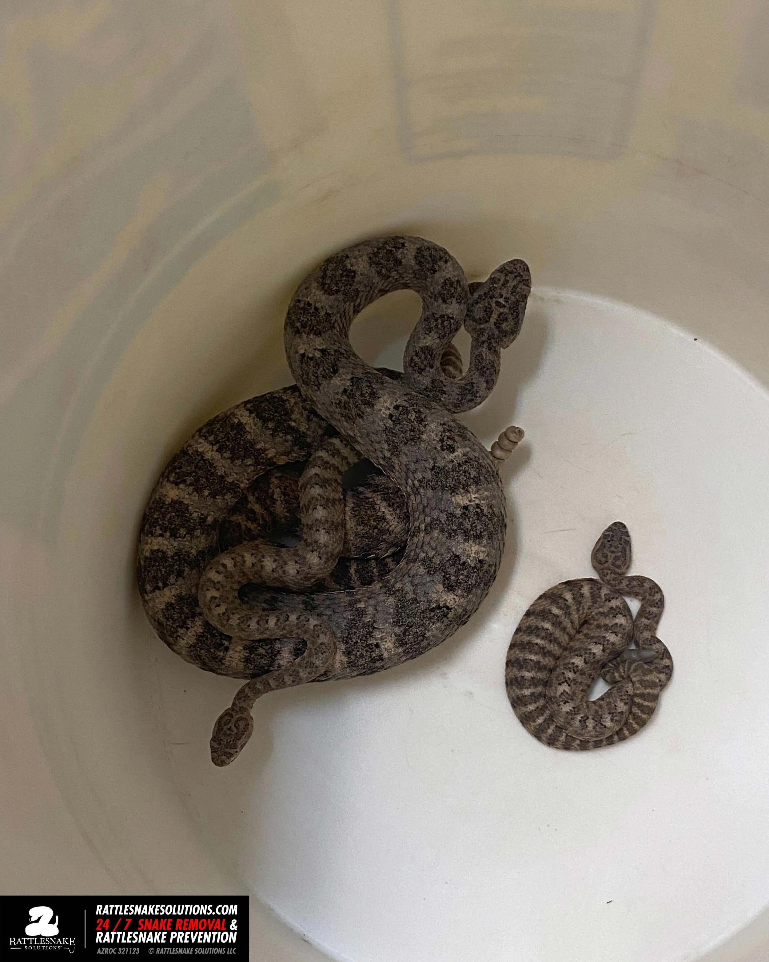 Image-from-iOS-(1) 6.jpg