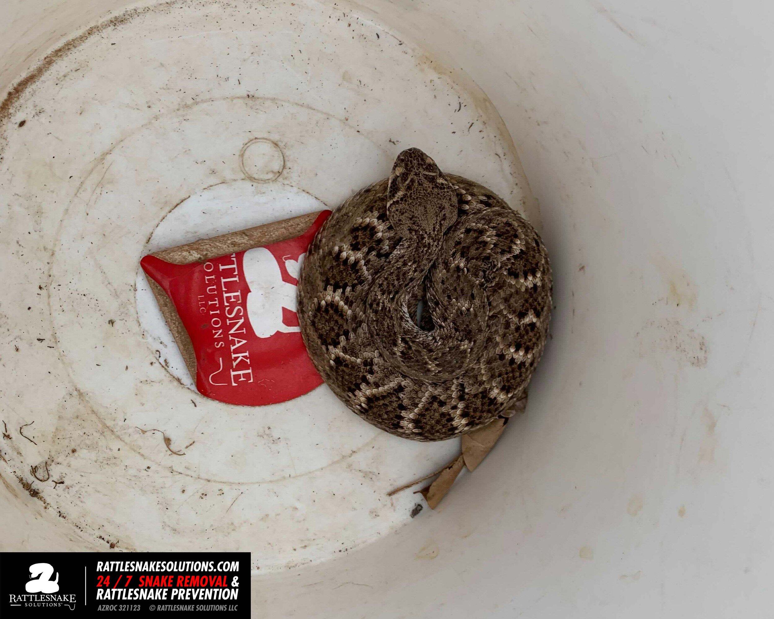 Image-from-iOS-(1) 7.jpg