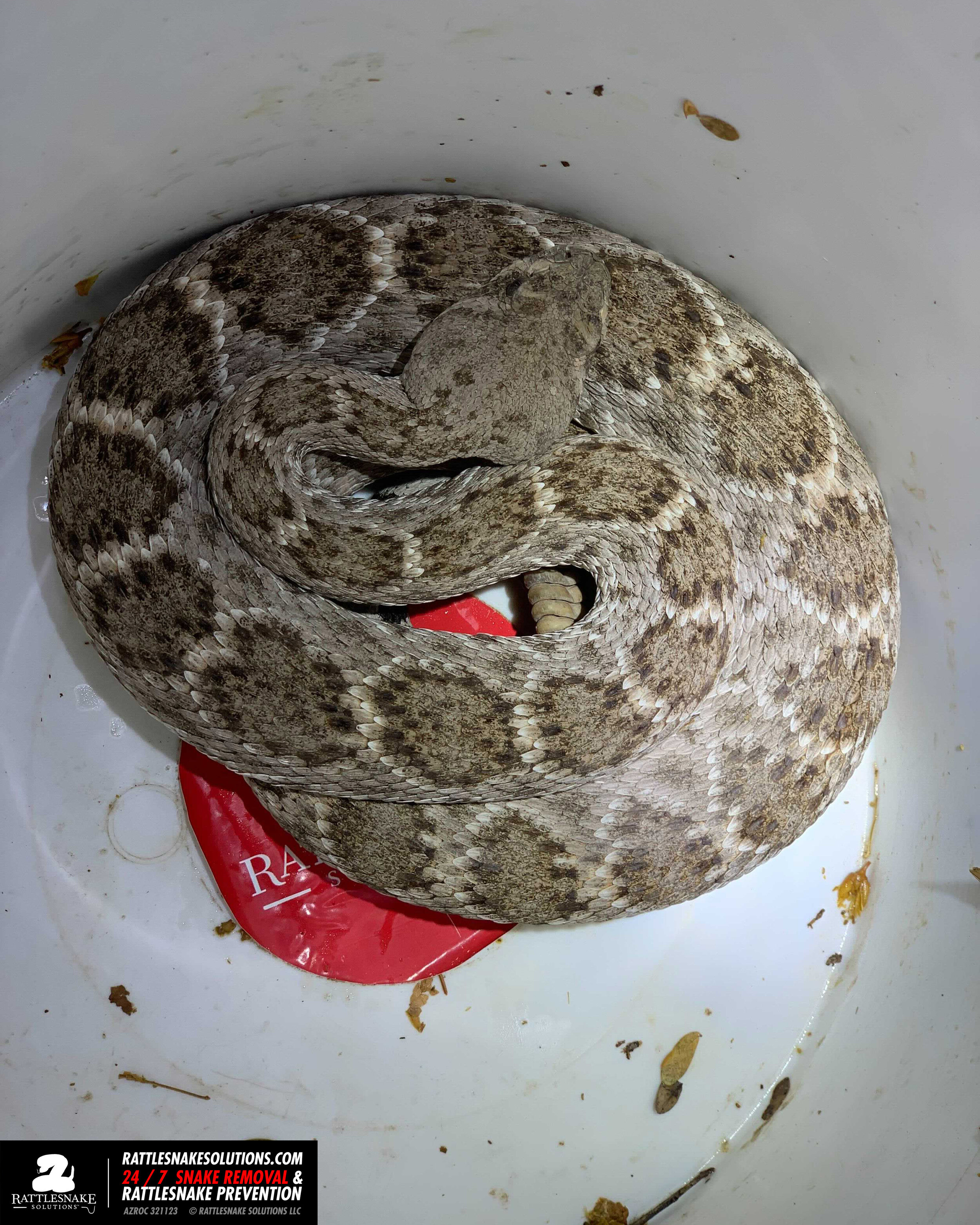 Image-from-iOS-(1) 4.jpg