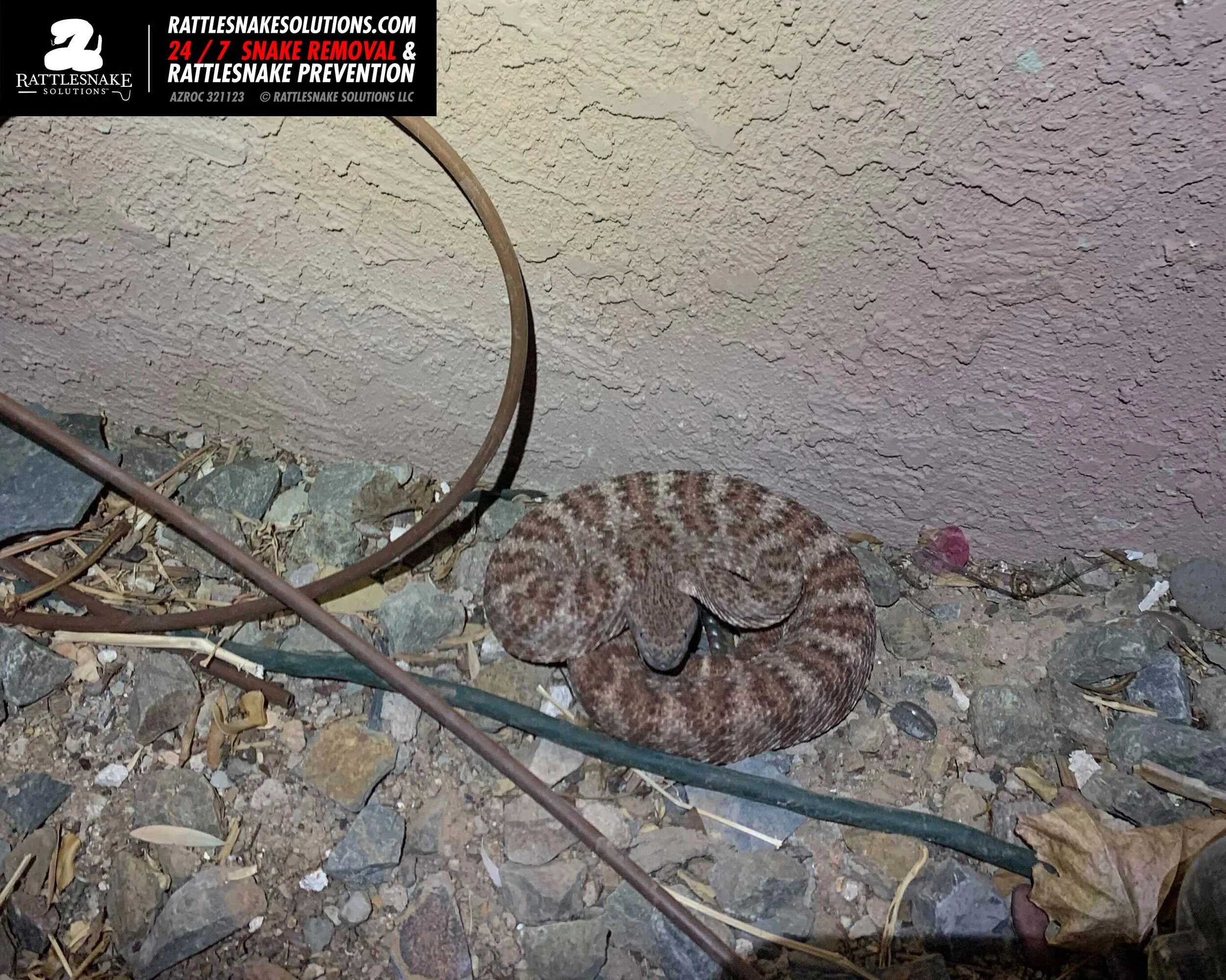 Image-from-iOS-(1) 8.jpg