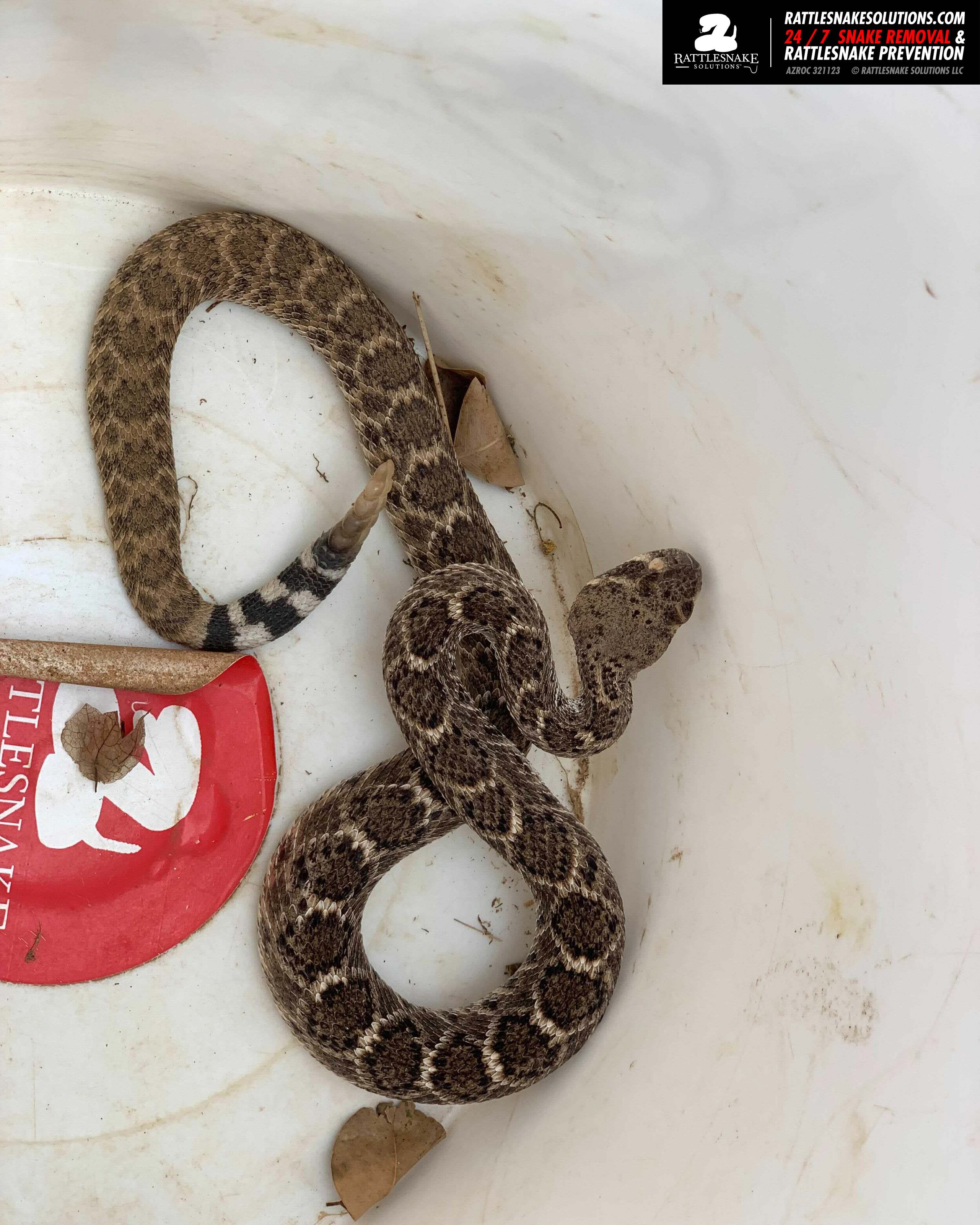 Image-from-iOS-(1) 9.jpg