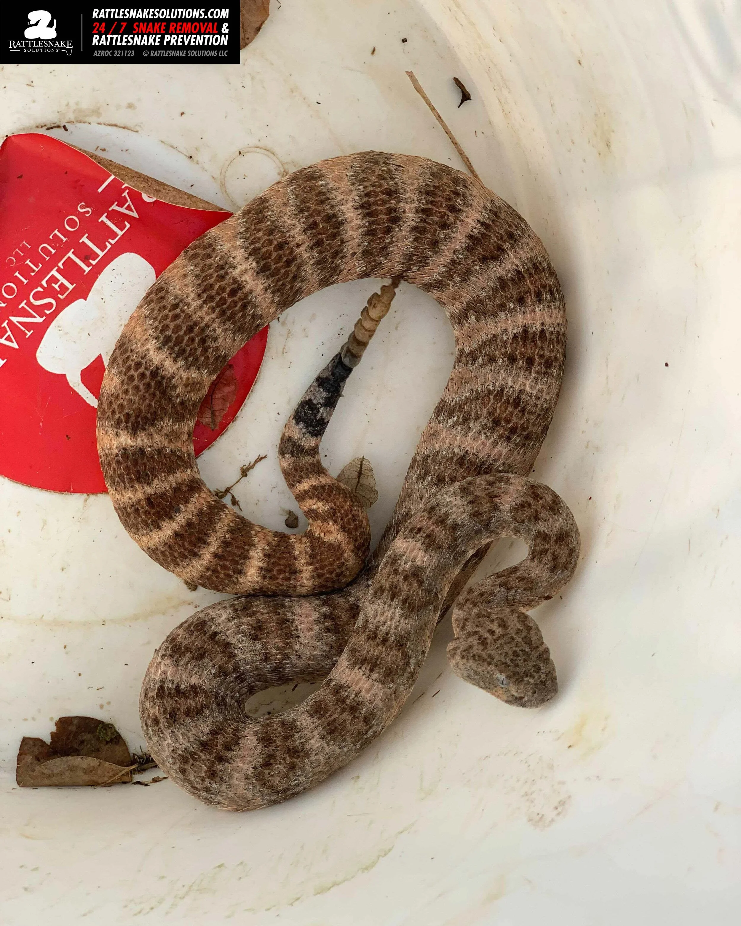 Image-from-iOS-(1) copy 2 2.jpg