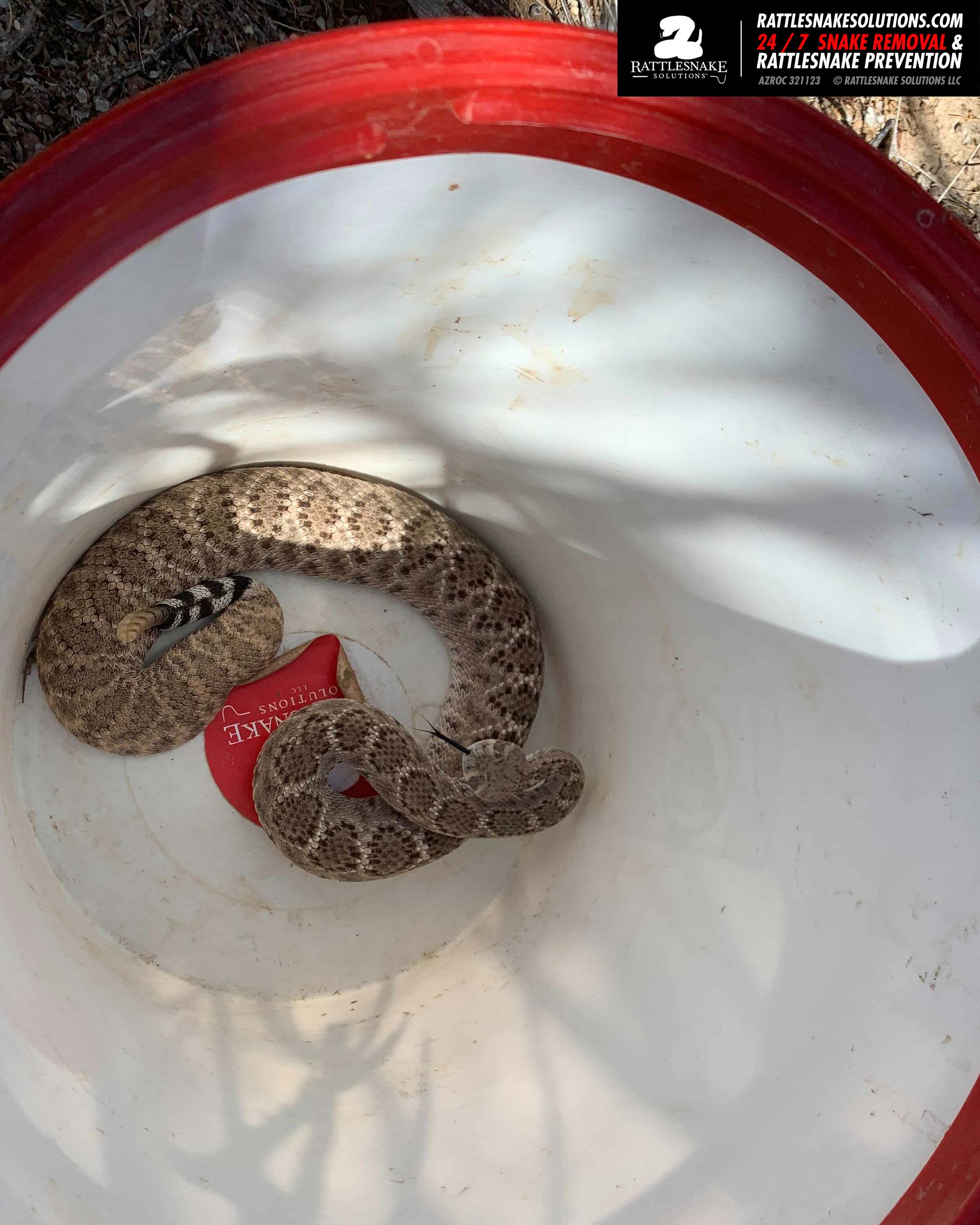 Image-from-iOS-(1) copy 2 3.jpg