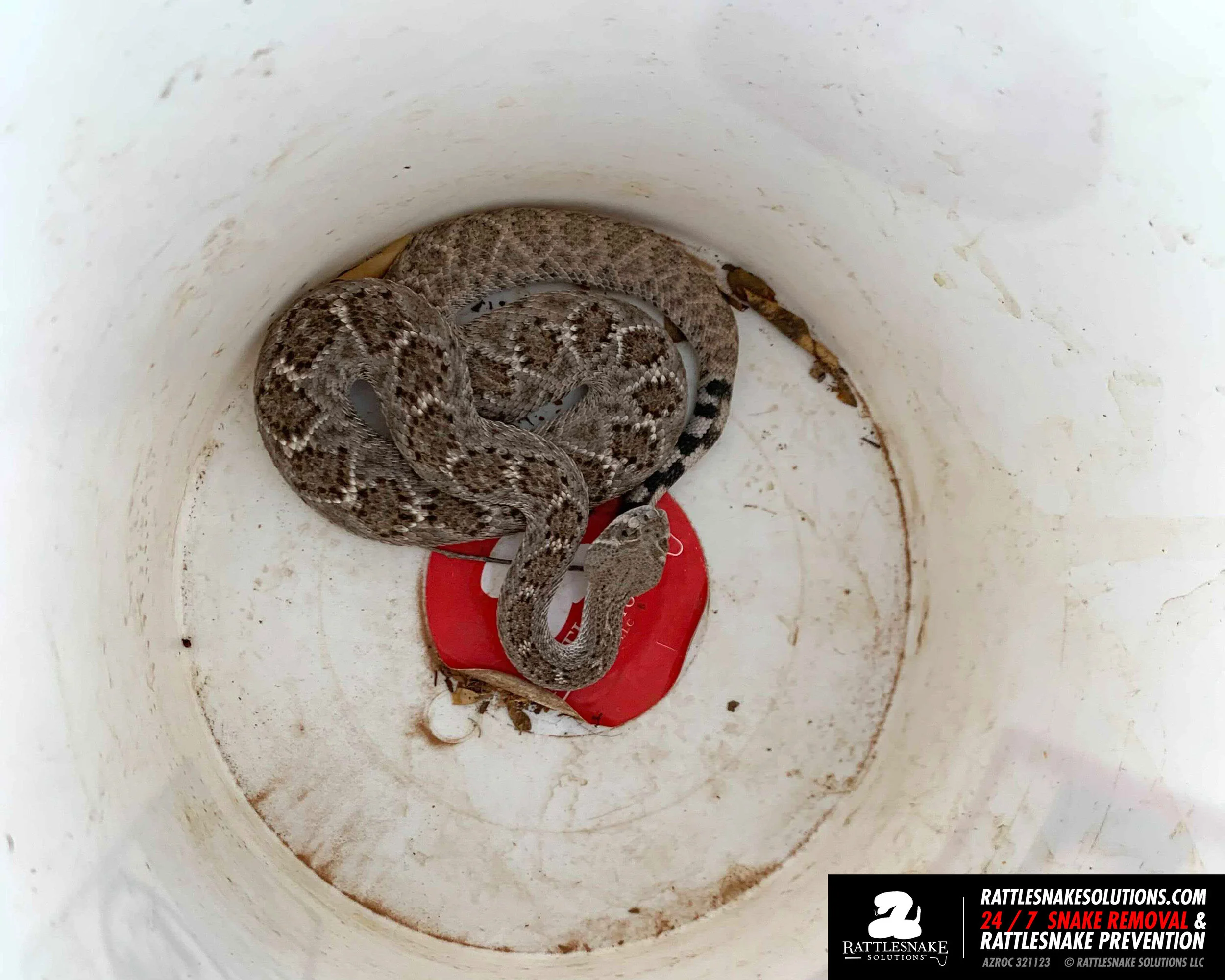 Image-from-iOS-(1) copy 2.jpg